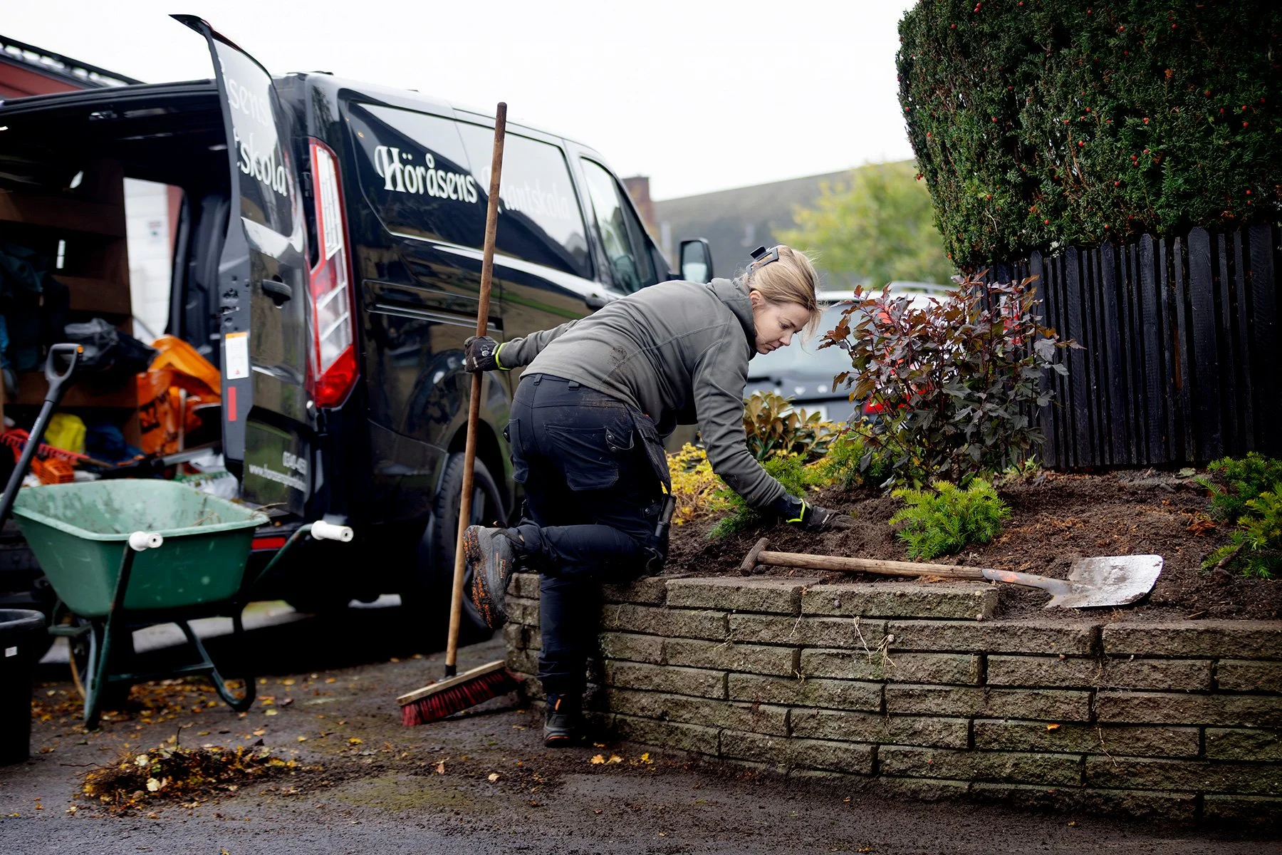 blogg-261021-horasen-plantering-18.jpg