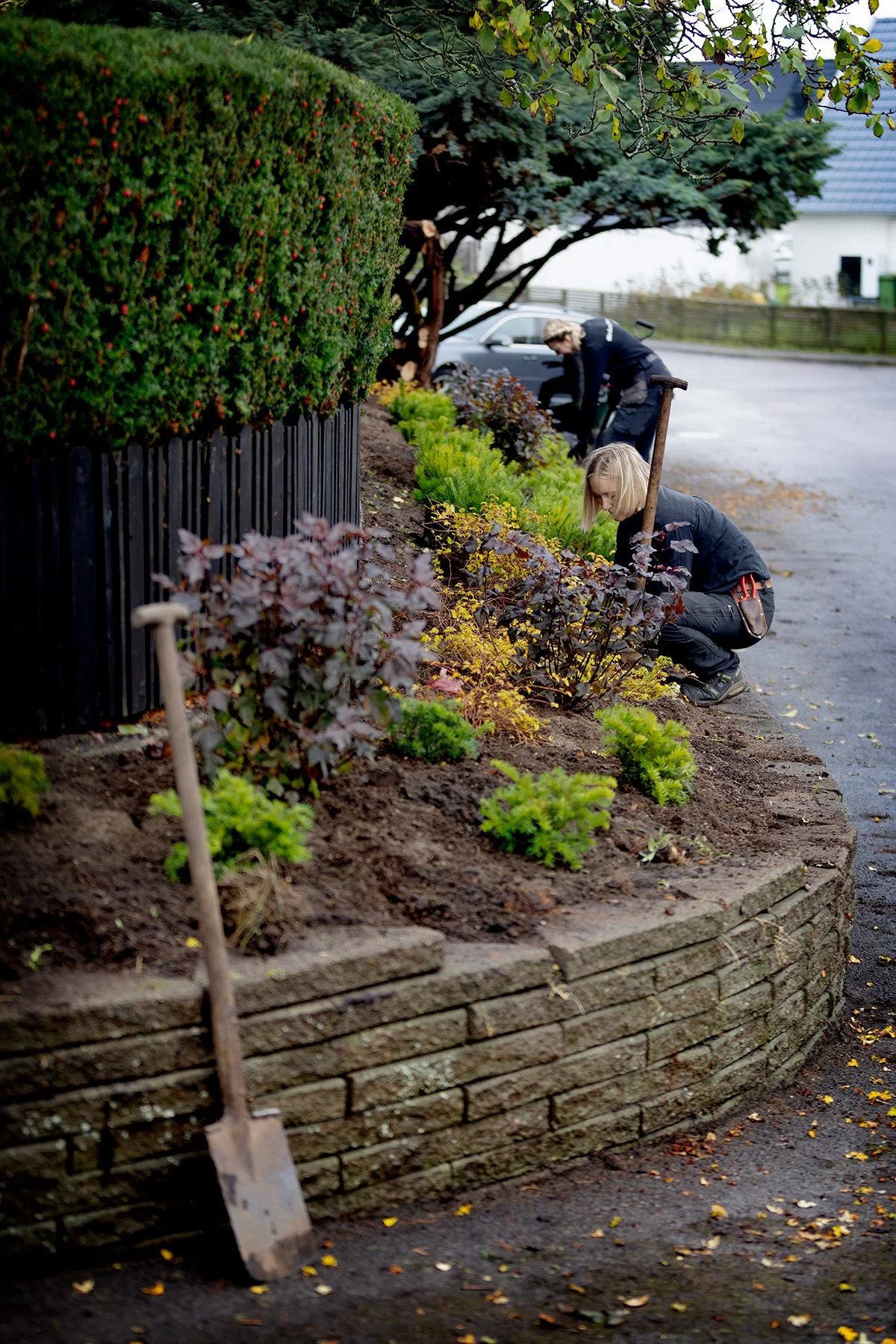 blogg-261021-horasen-plantering-19.jpg