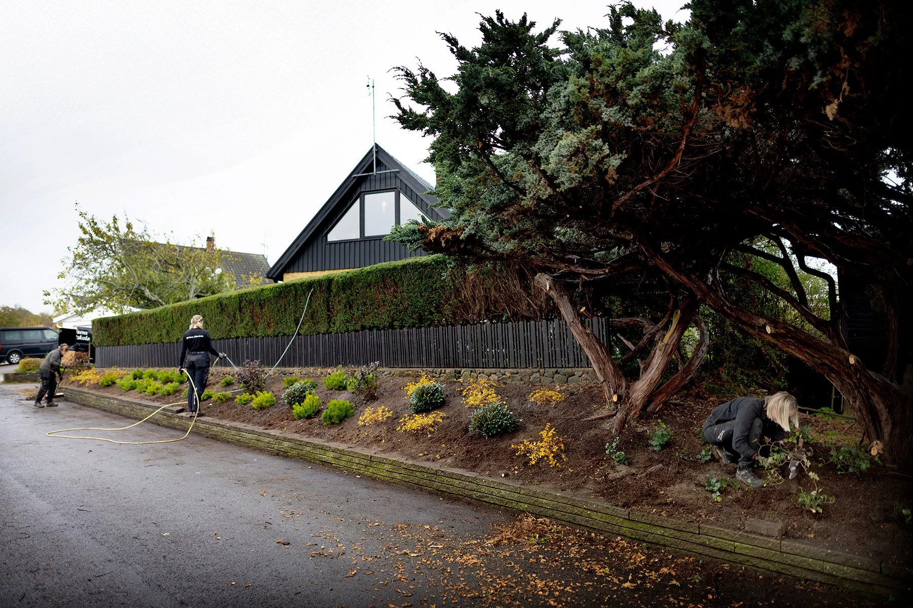 blogg-261021-horasen-plantering-23.jpg