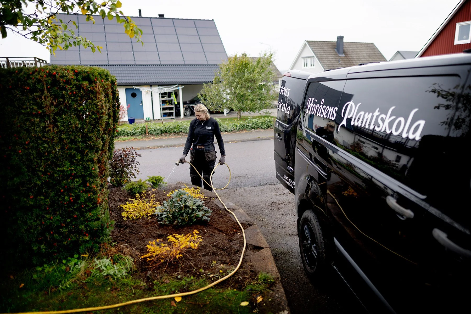 blogg-261021-horasen-plantering-25.jpg