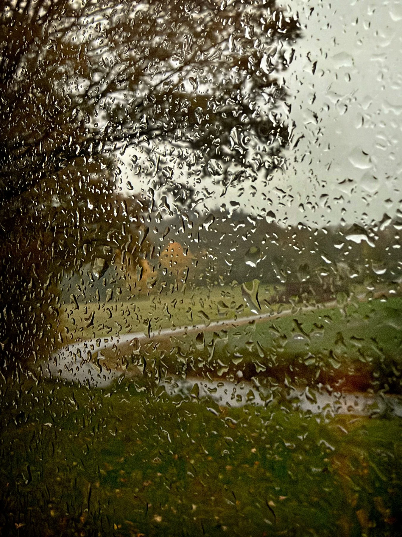 blogg-261024-regn-ambjorntorp.jpg