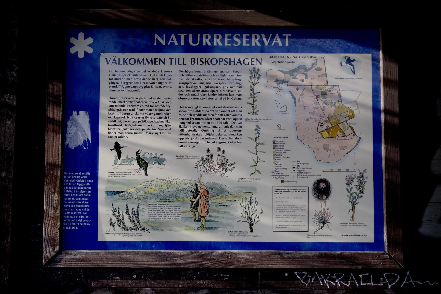 blogg-261028-biskopshagen-1.jpg