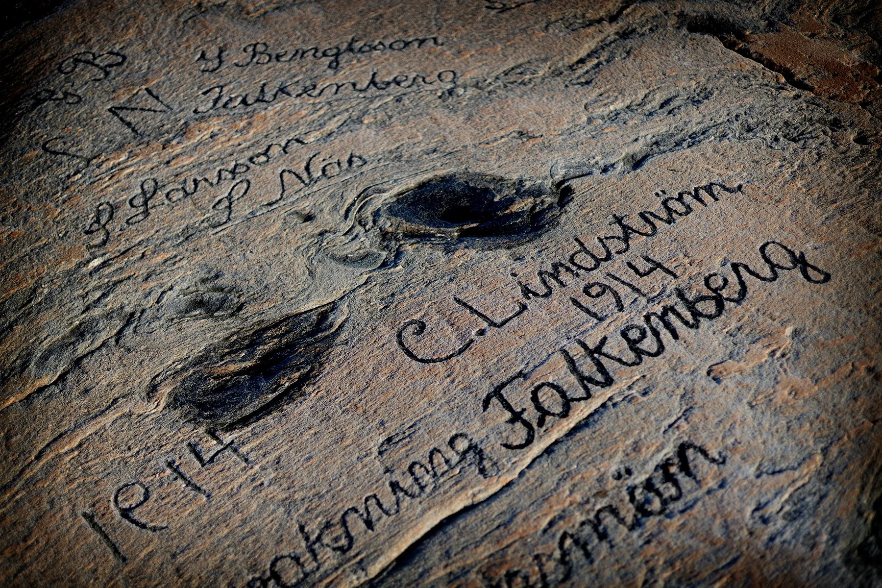 blogg-261028-biskopshagen-13.jpg