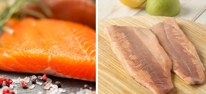types-of-trout.jpg