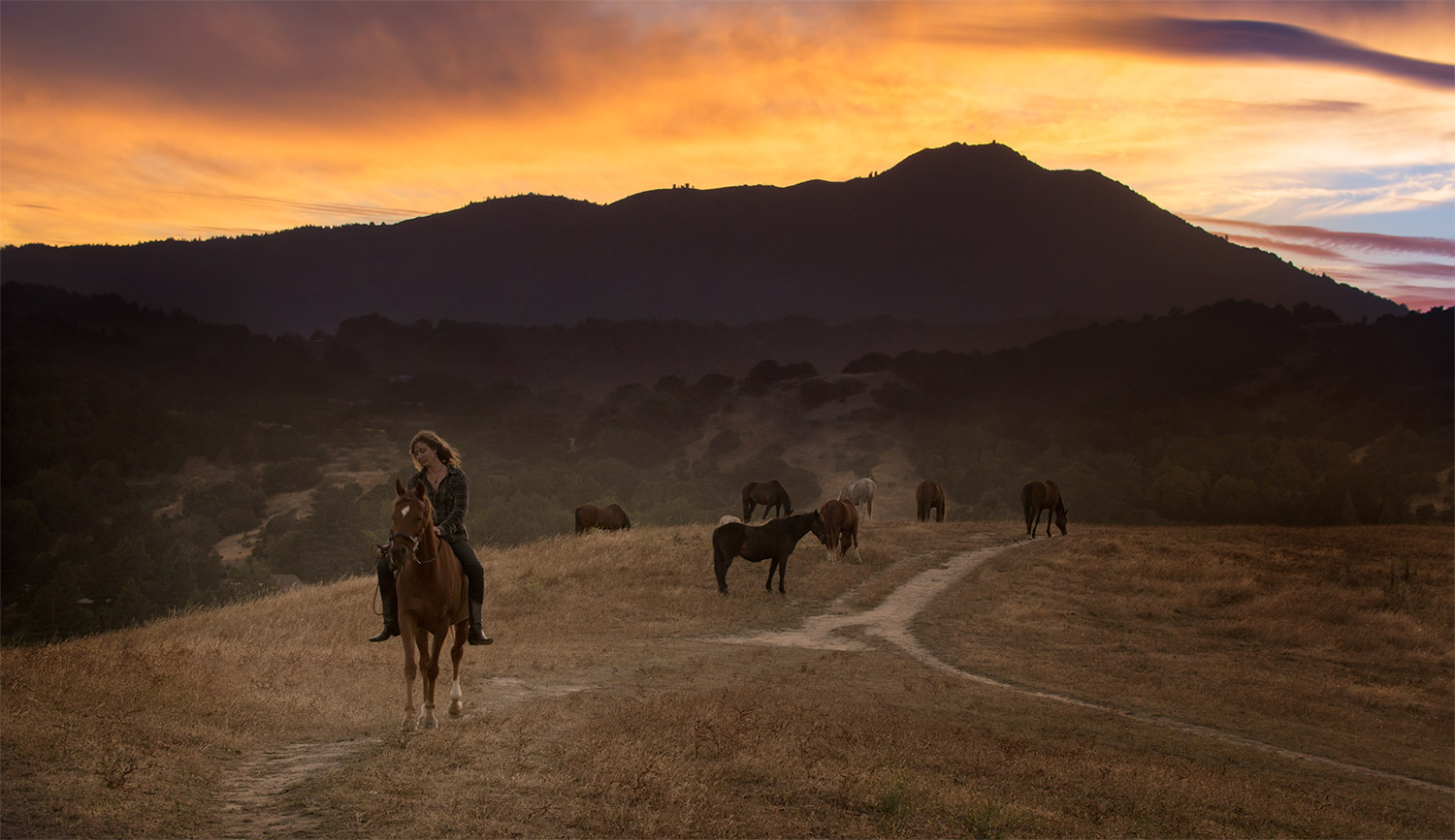 Horse_Hill_highres_still_1000541.jpg