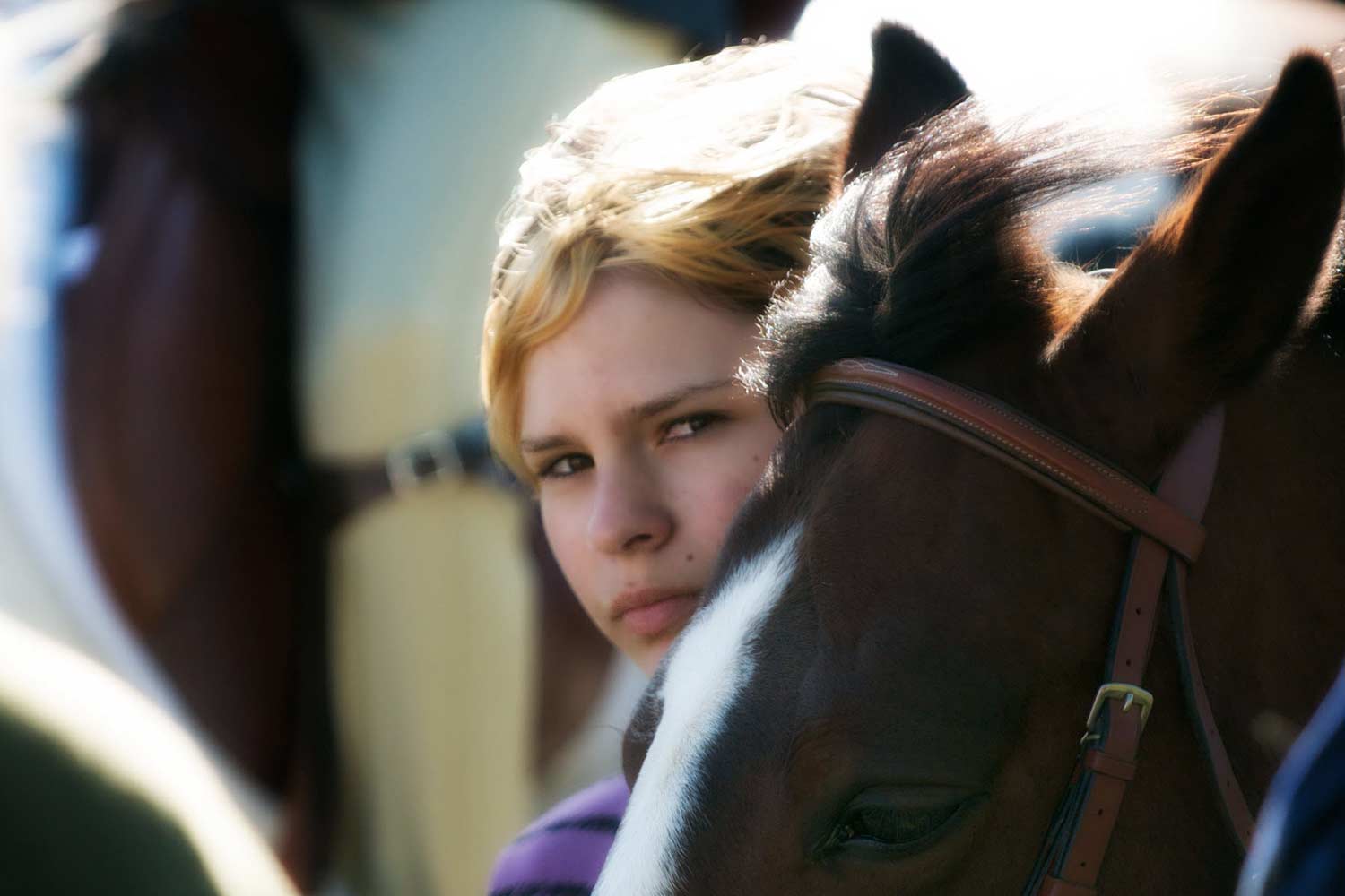 horse_portrait_s_l.jpg