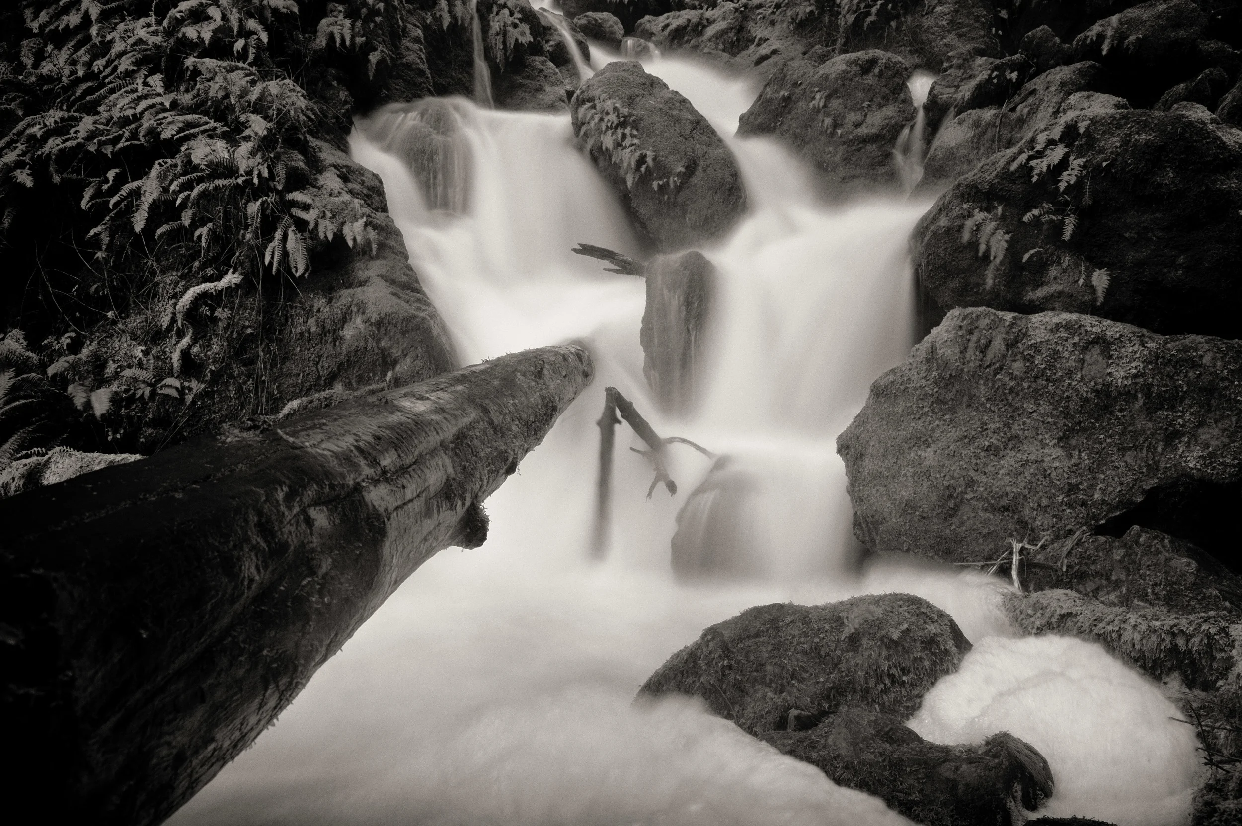 20120123__20120123__20120123_cataract_0024.jpg