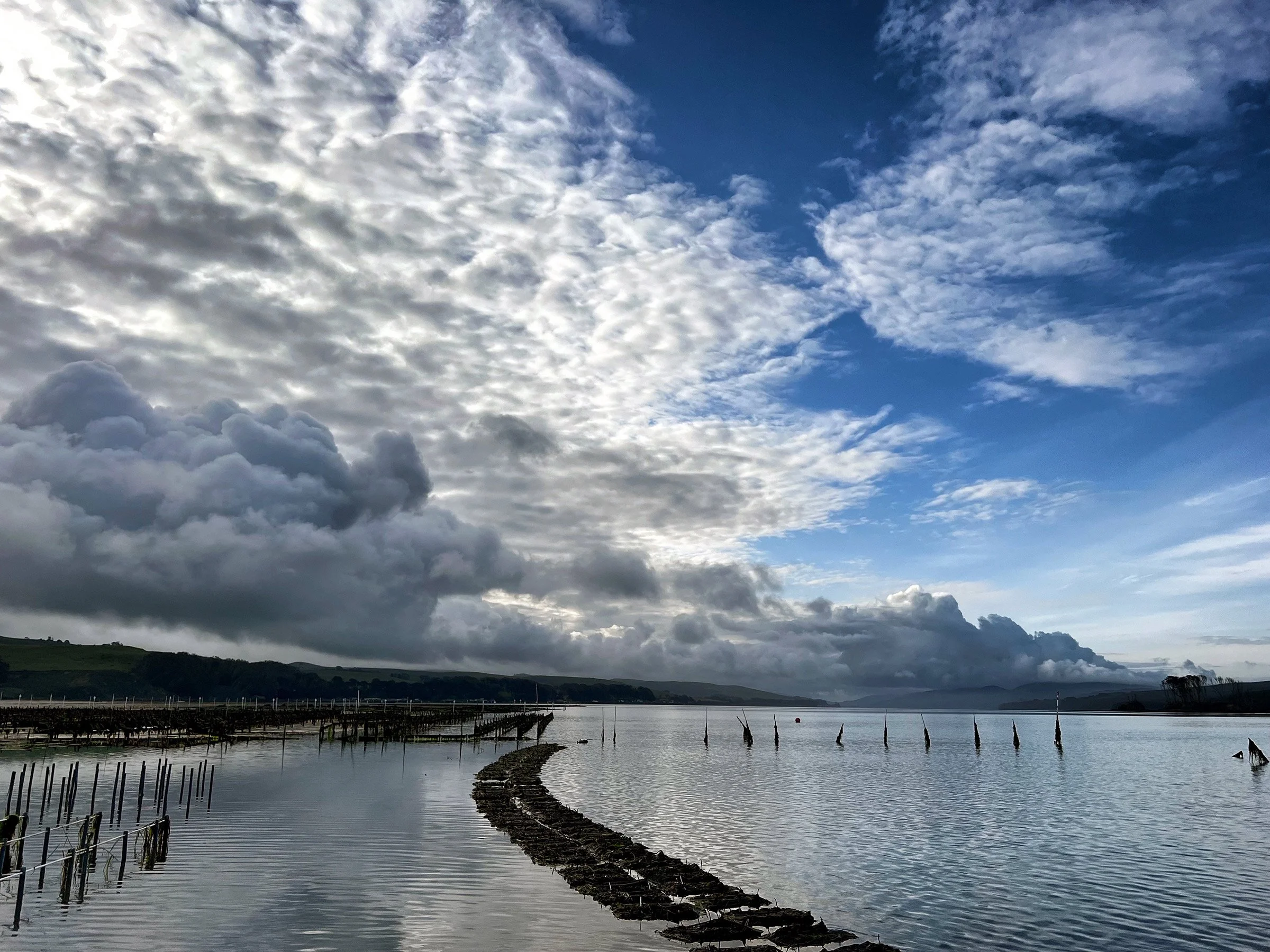 Tomales Bay by Erik Toussaint