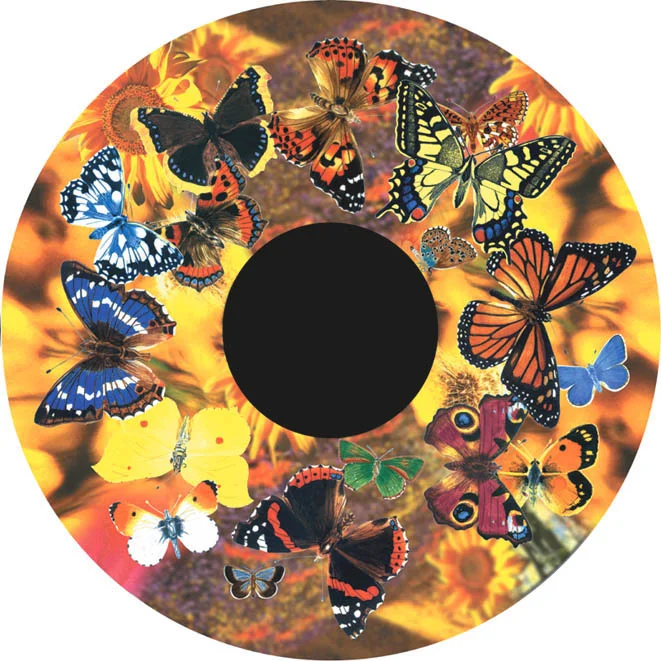 optikinetics-butterflies-fg7270.jpg