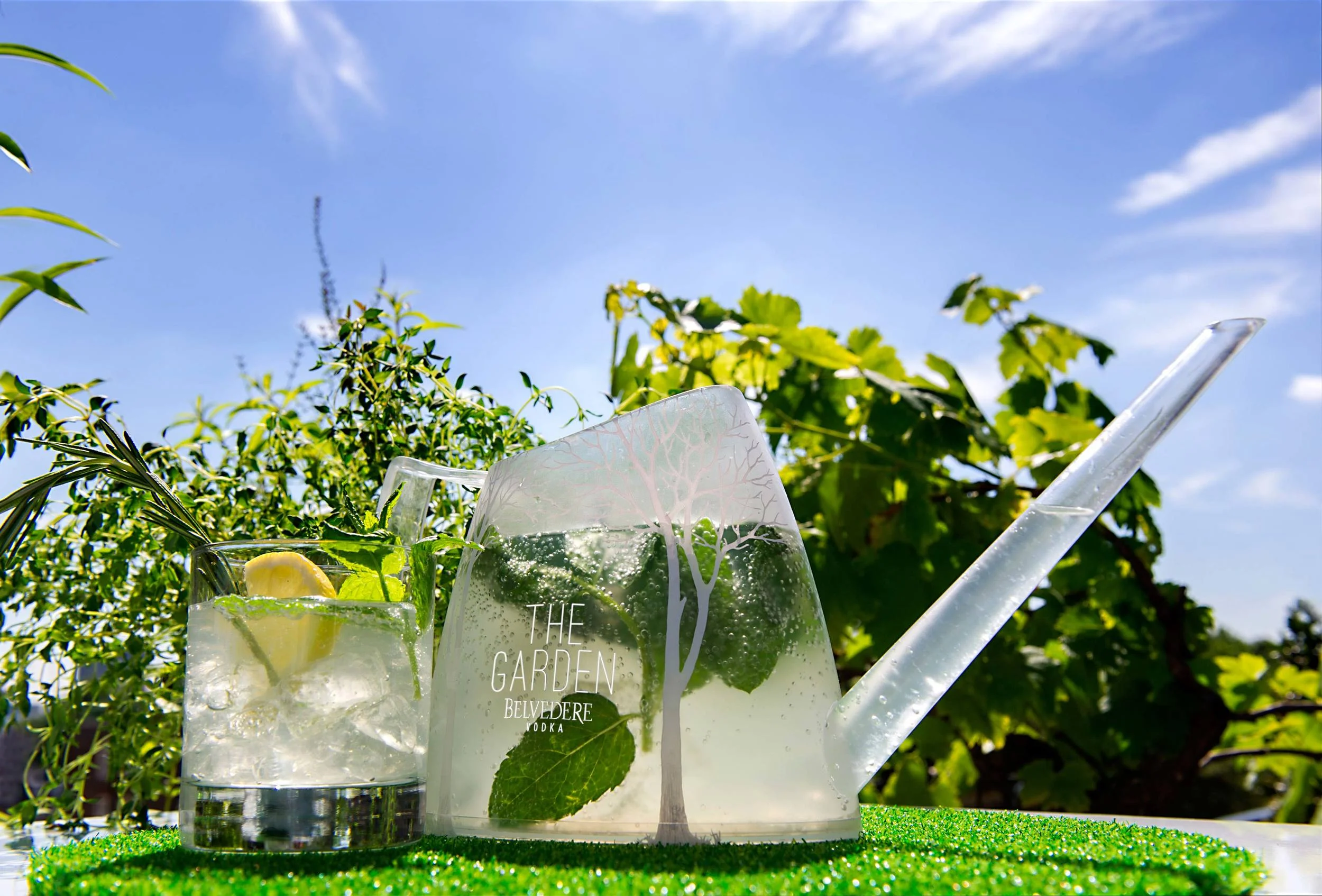 belvedere-1.jpg
