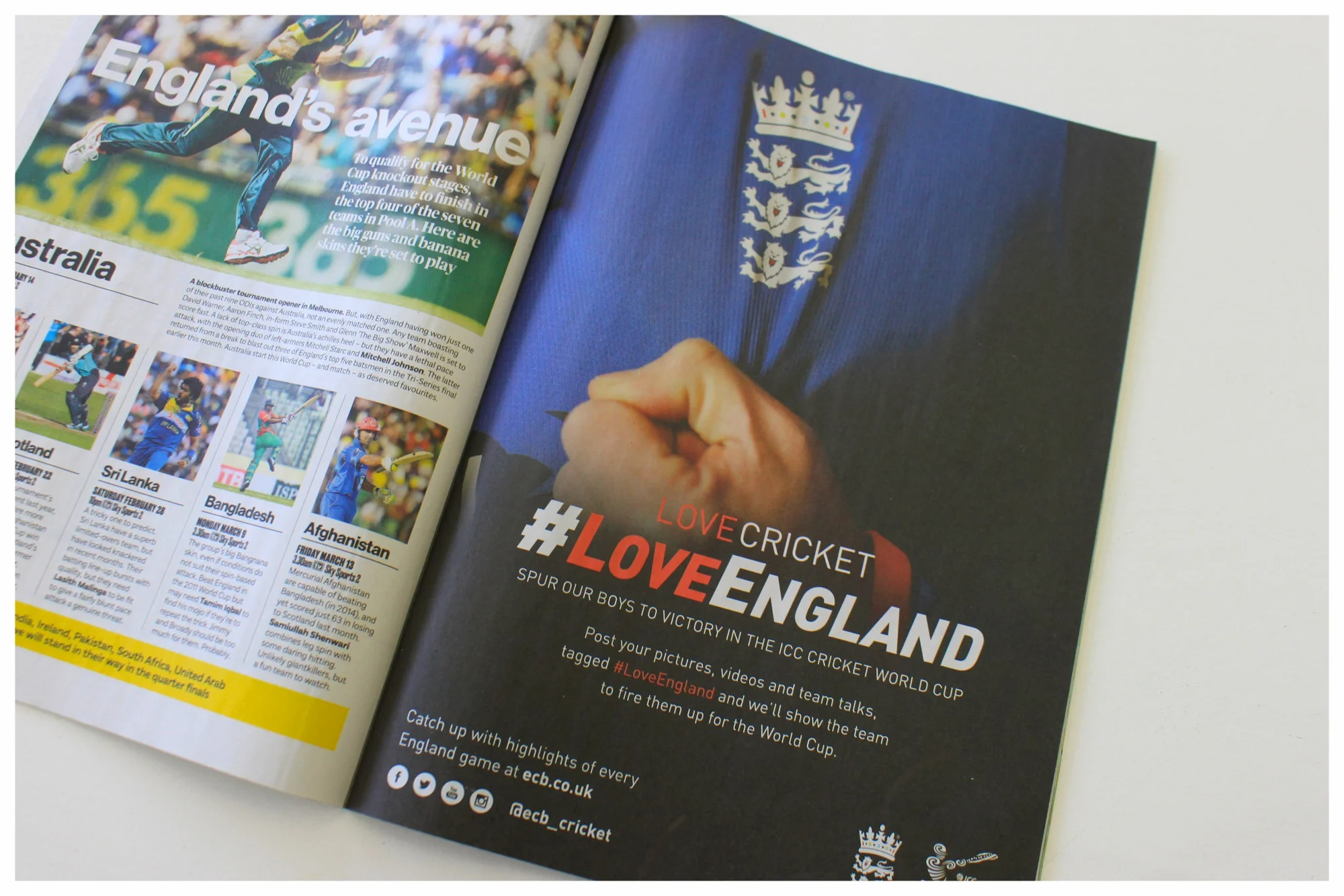 ecb-2.jpg