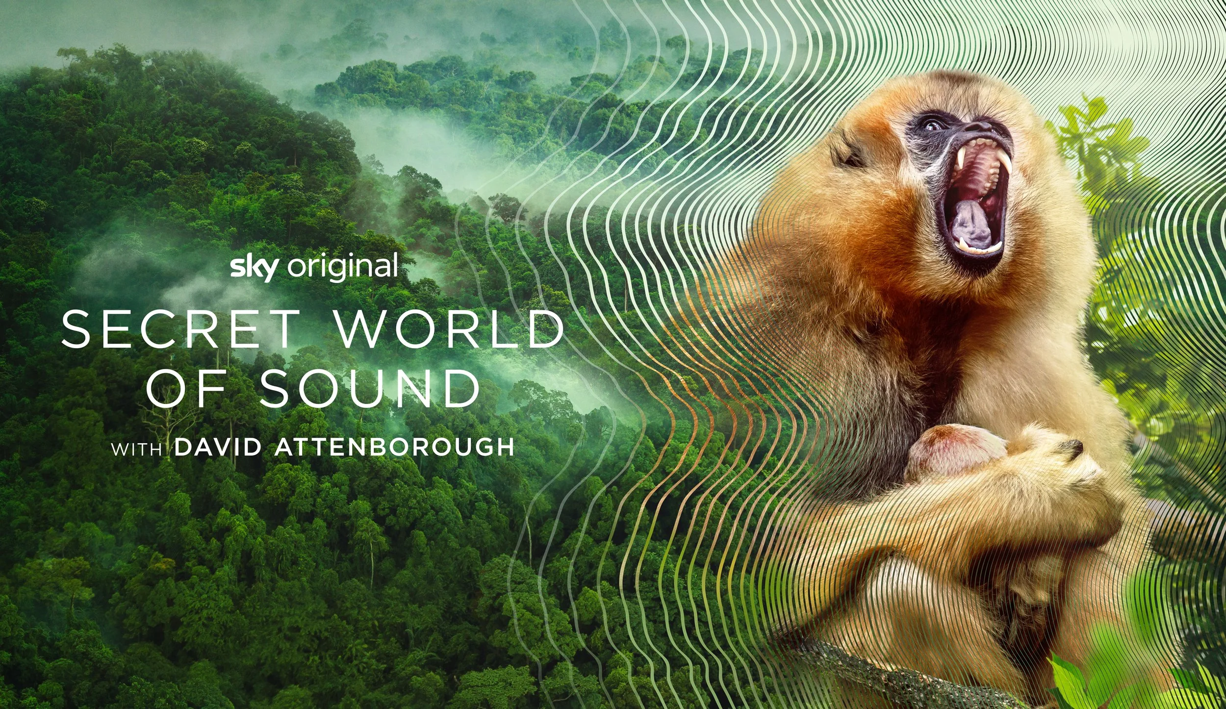 LANDSCAPE_GIBBON.jpg