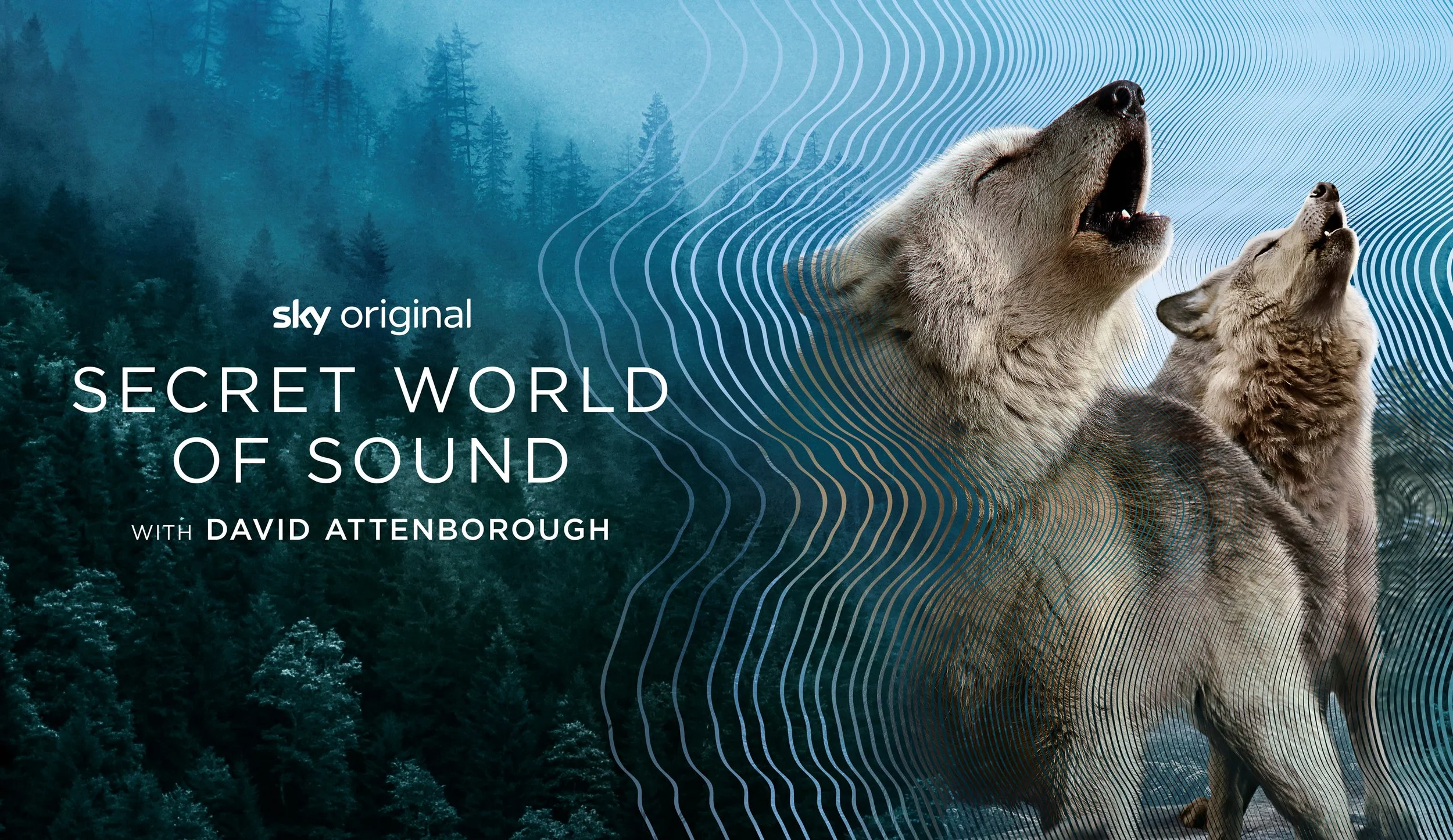 LANDSCAPE_WOLF.jpg