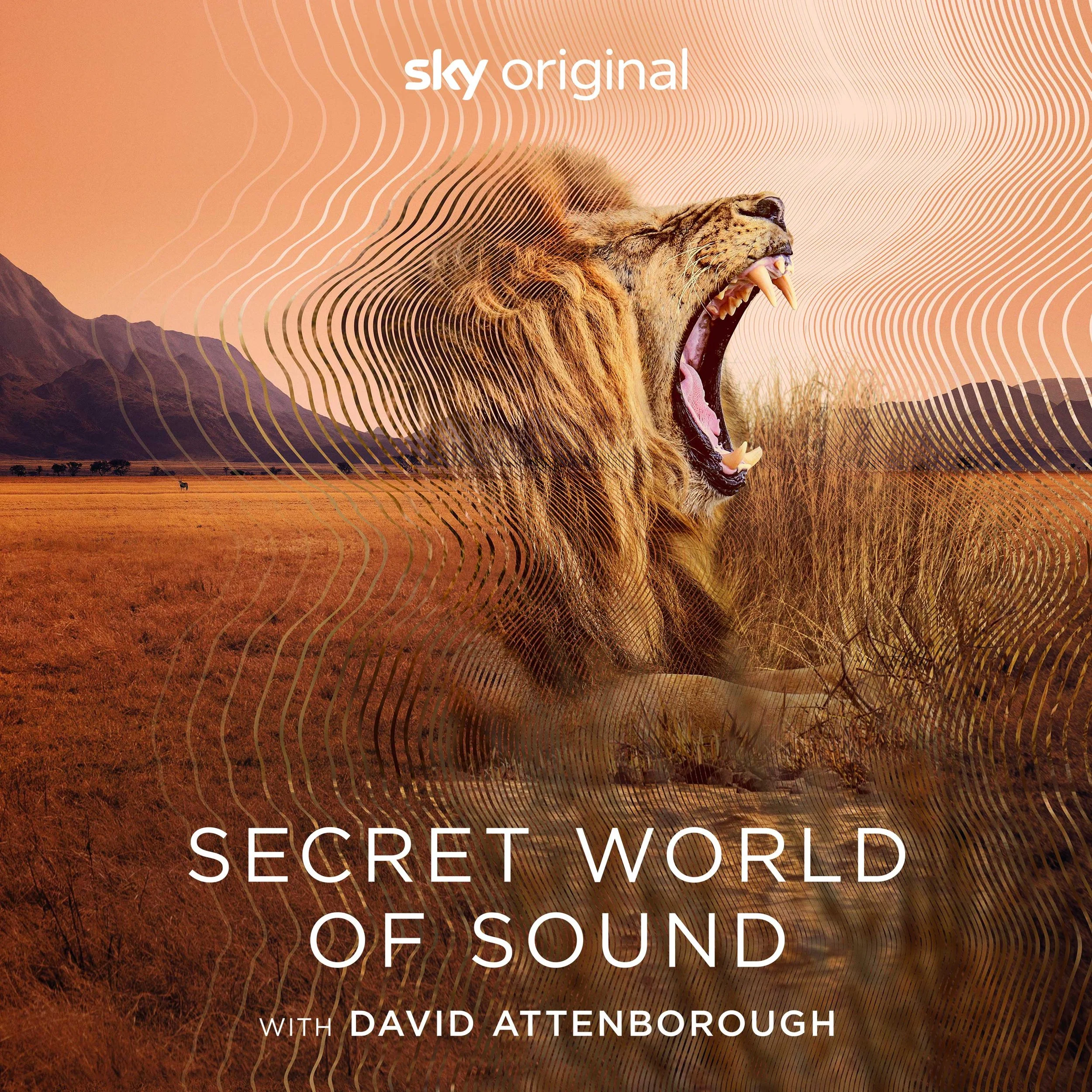 Attenborough_Sounds_of_Nature_Square_Crop_1x1_3000x3000px.jpg