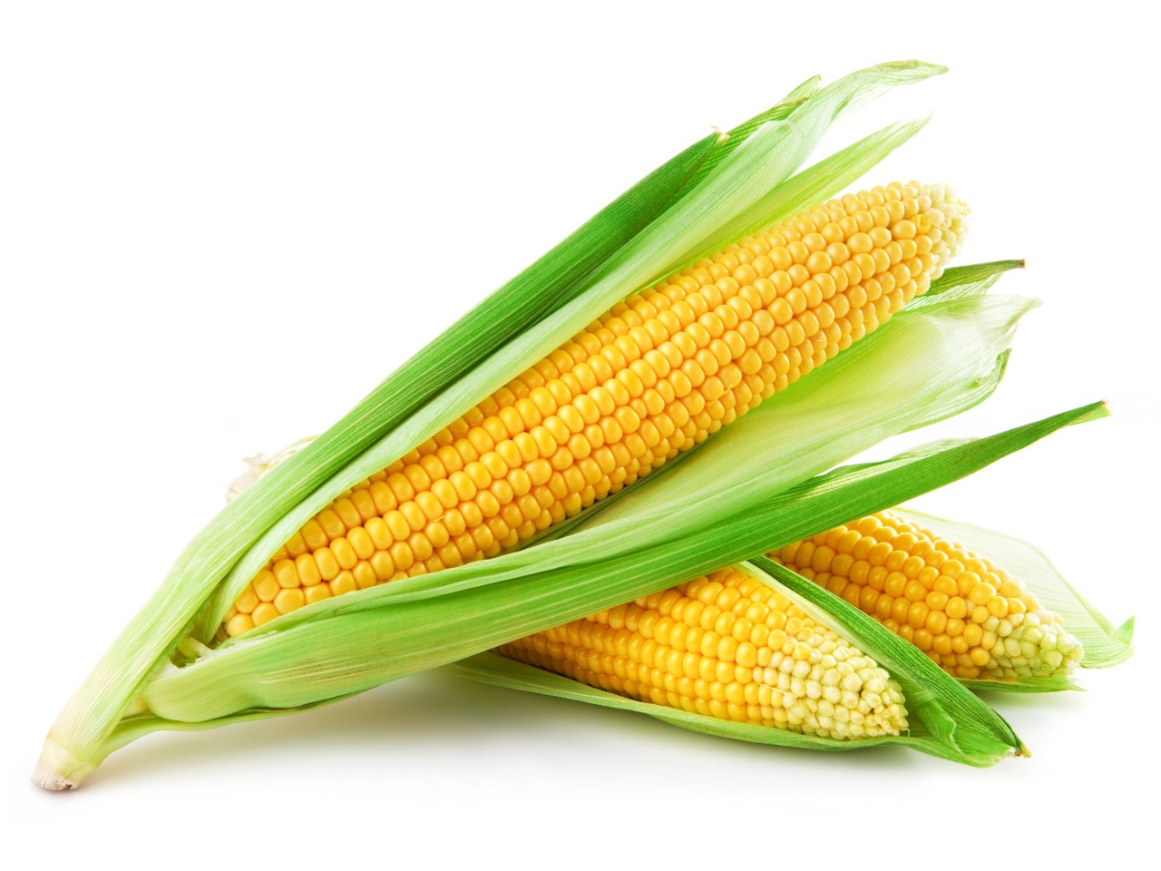 corn.jpeg