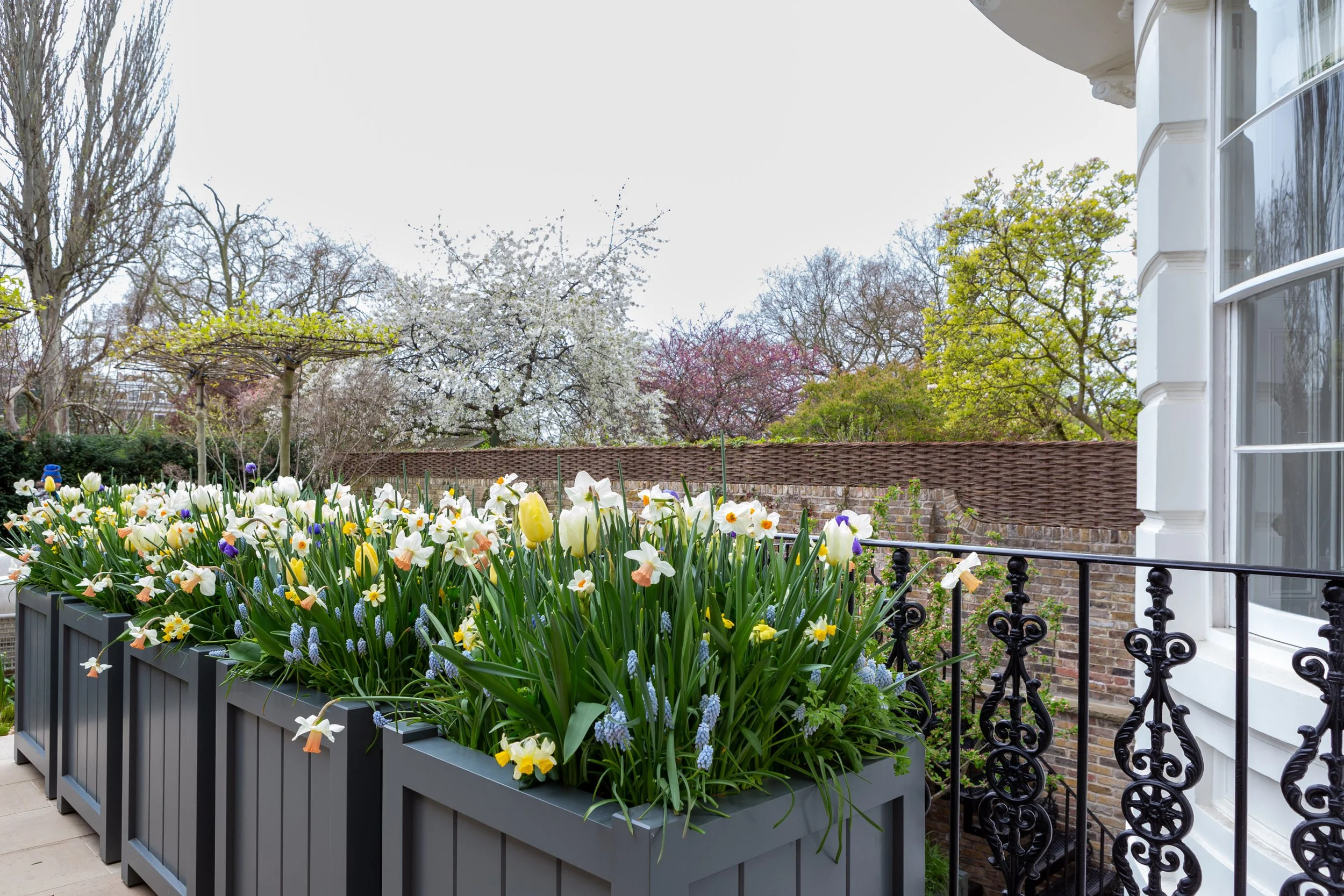 BWGD_KenPkGd_Apr22©EllieWalpole_LR-0373.jpg
