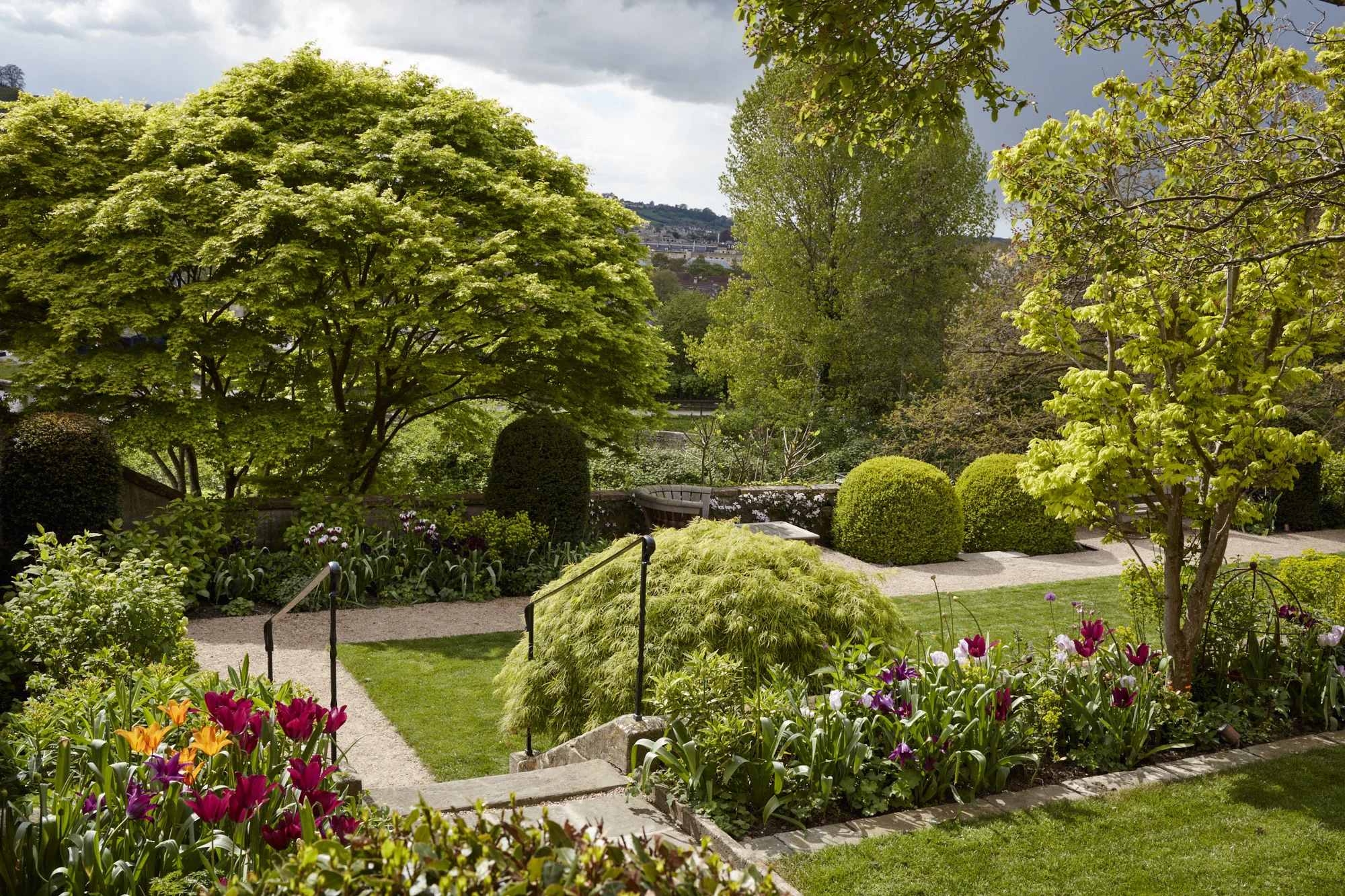 Sydney Buildings, Bath — Butter Wakefield Garden Design Ltd