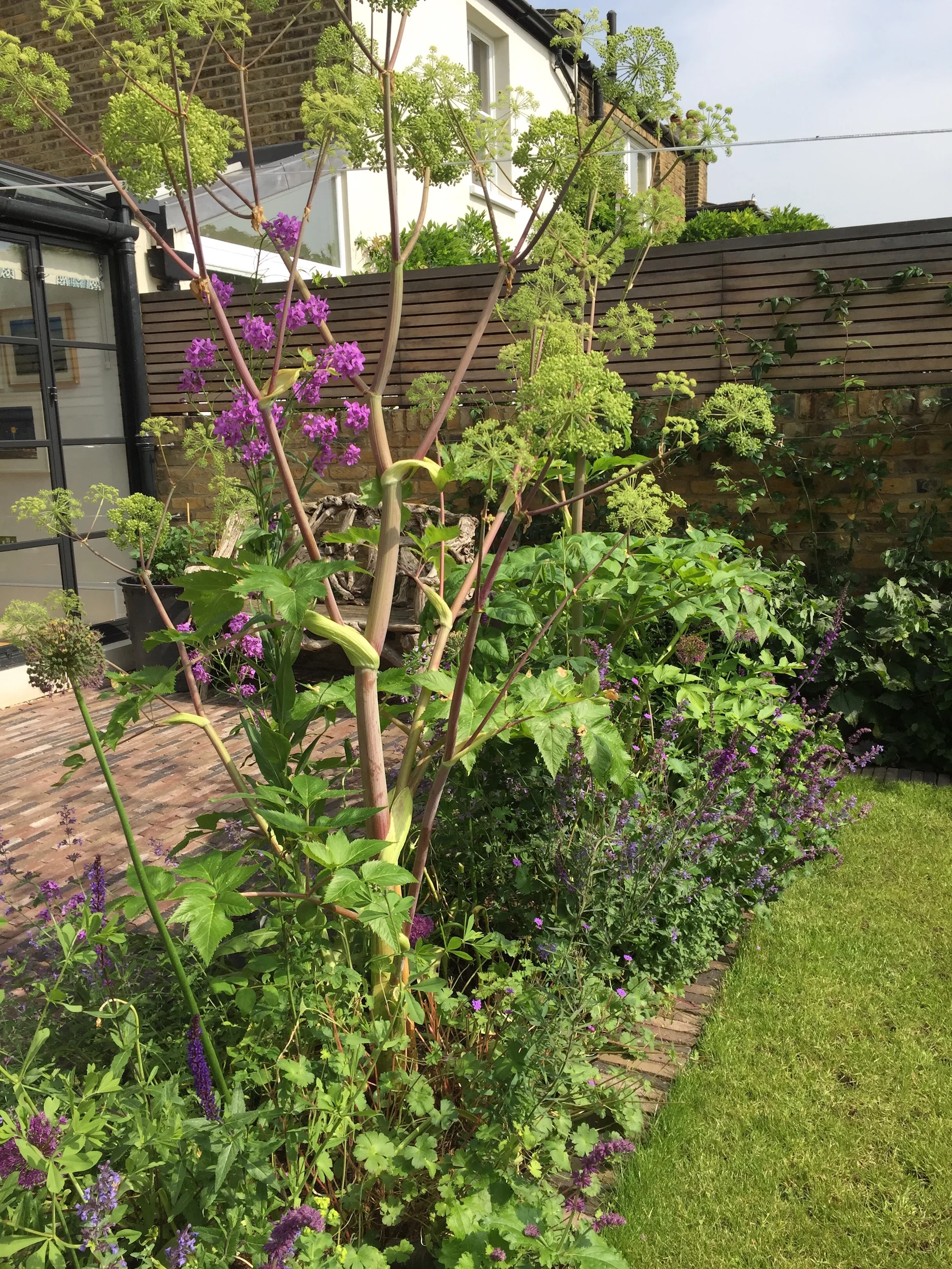 IMG_7299_Web res.jpeg