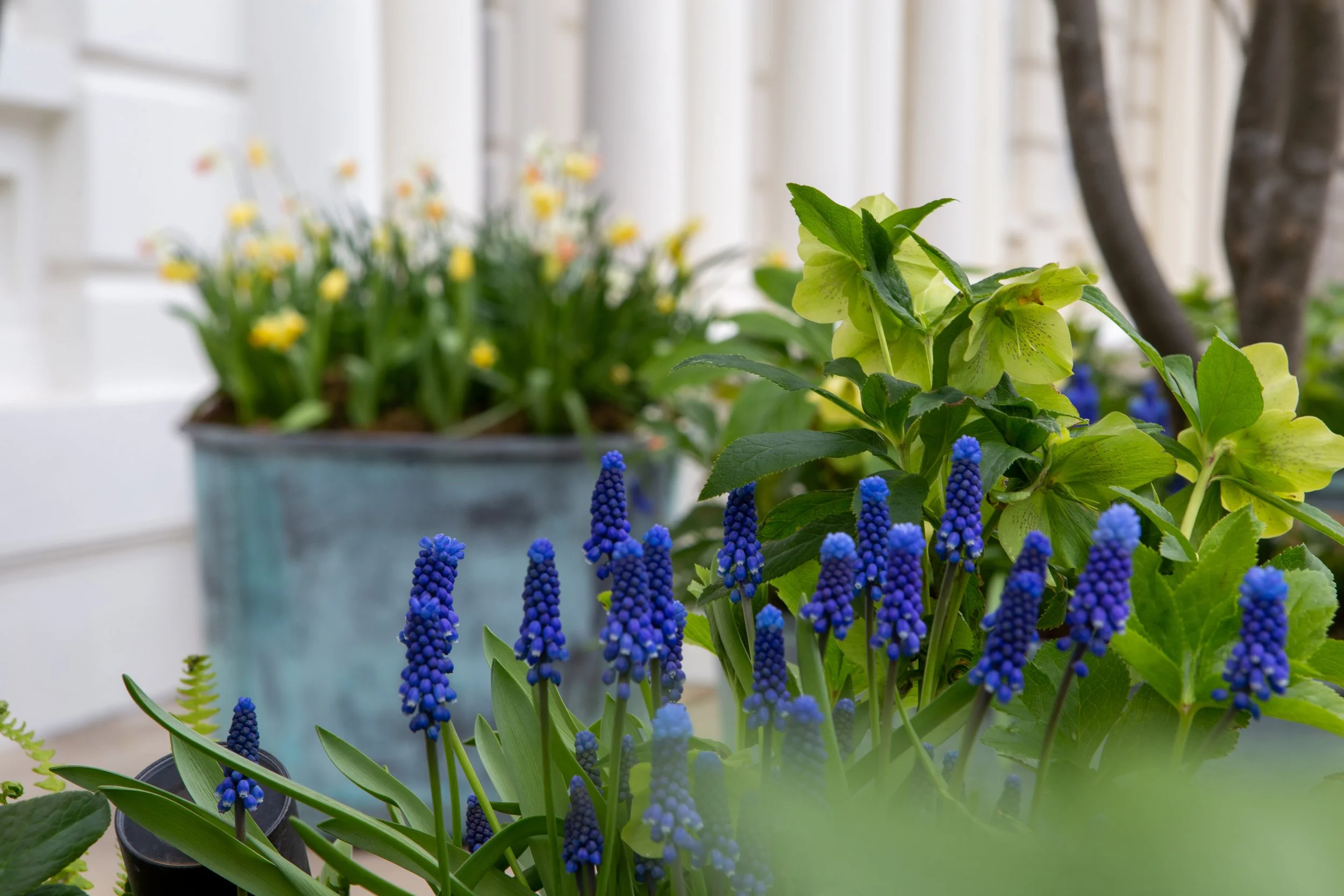 BWGD_KenPkGd_Apr22©EllieWalpole_HR-0417.jpg