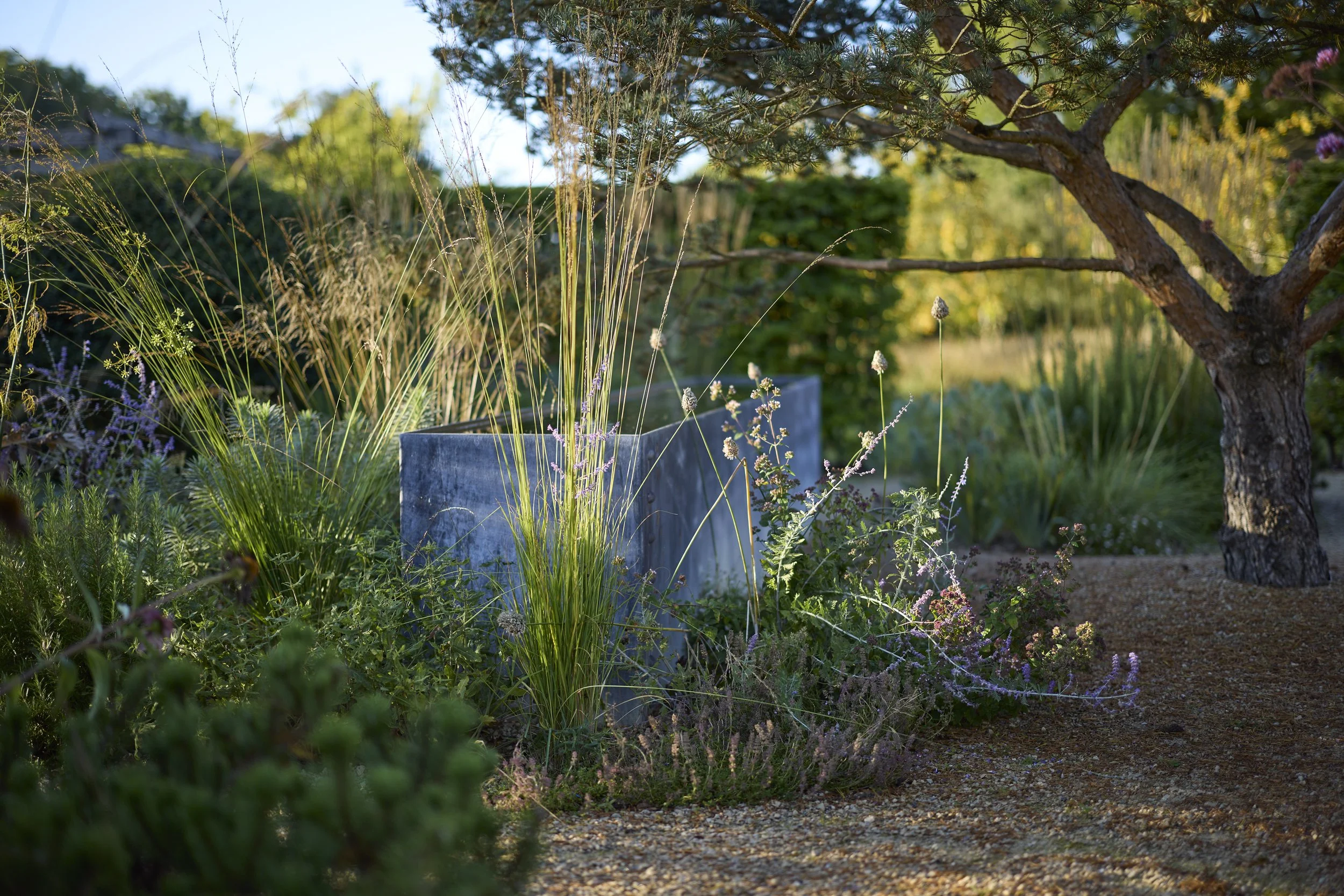BW-Hawthorn-Autumn-Gravel_T2_3048.jpg