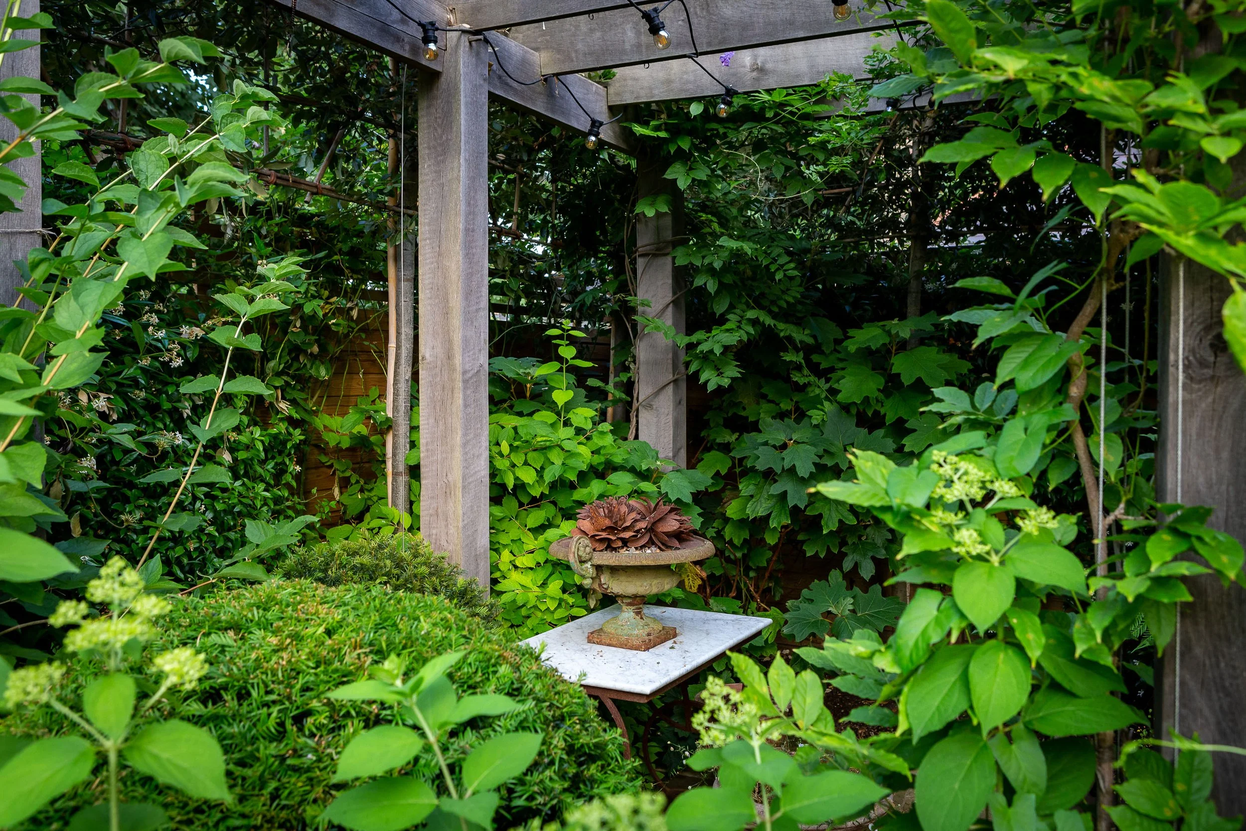 Butter Wakefield_StraffordRd_July2022©EllieWalpole_LR-135.jpg