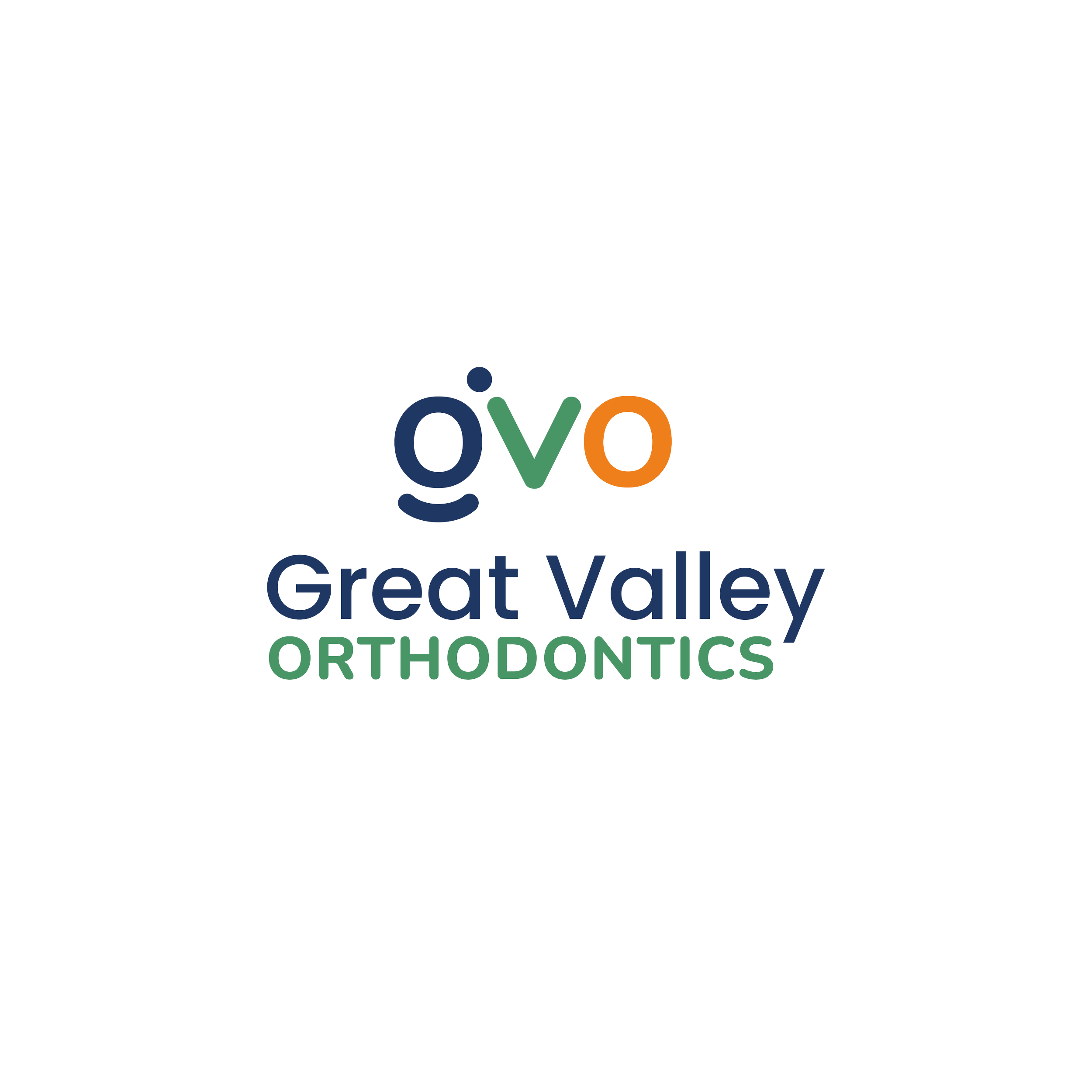 Matt Silver gvo png (1).png