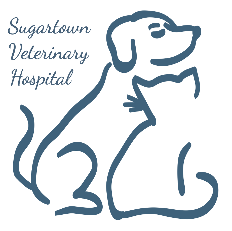 Sugartown Veterinary Hospital