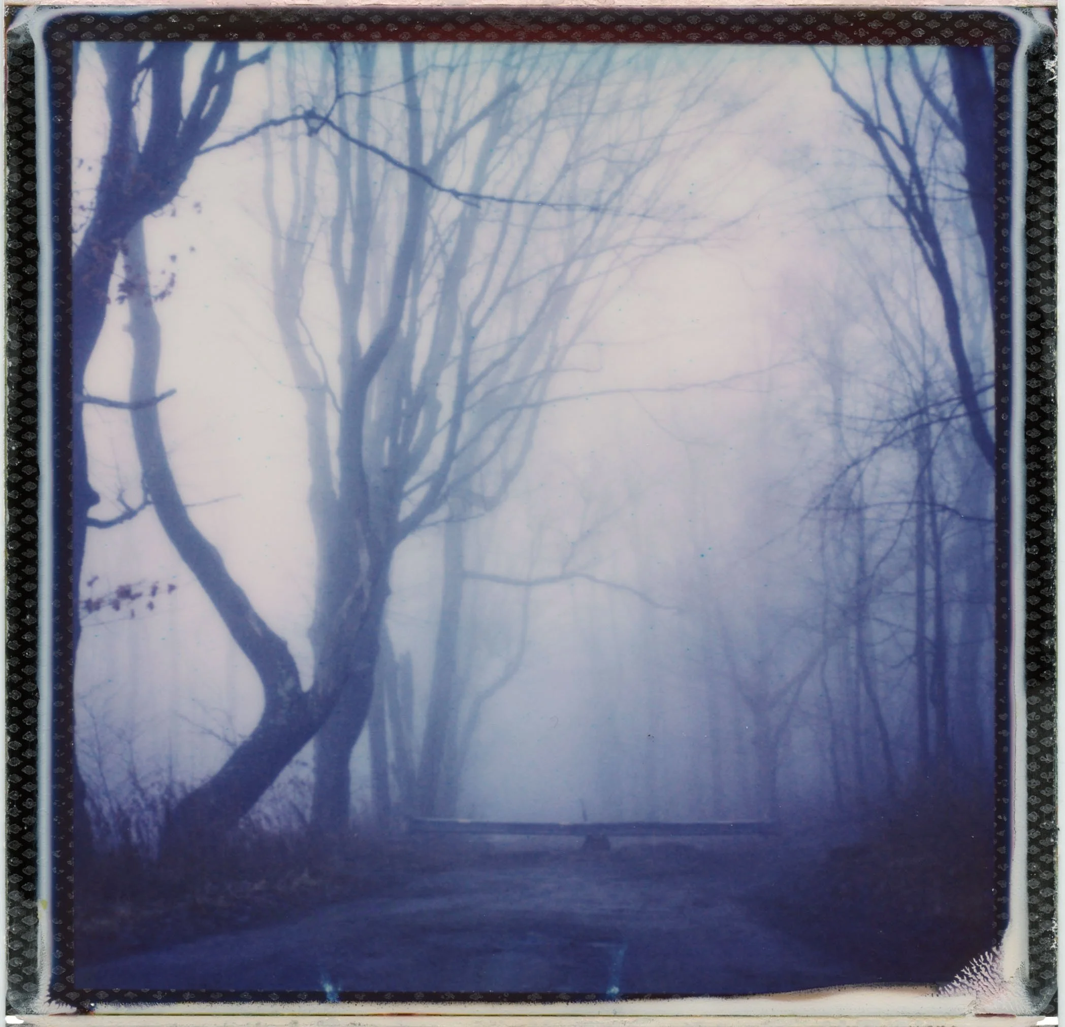 Roadside Cemetery