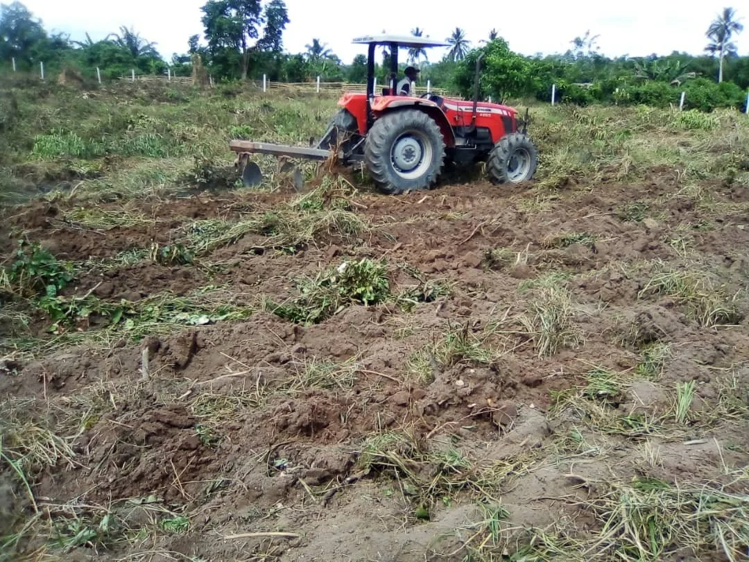 KURWA FARM 1.jpg