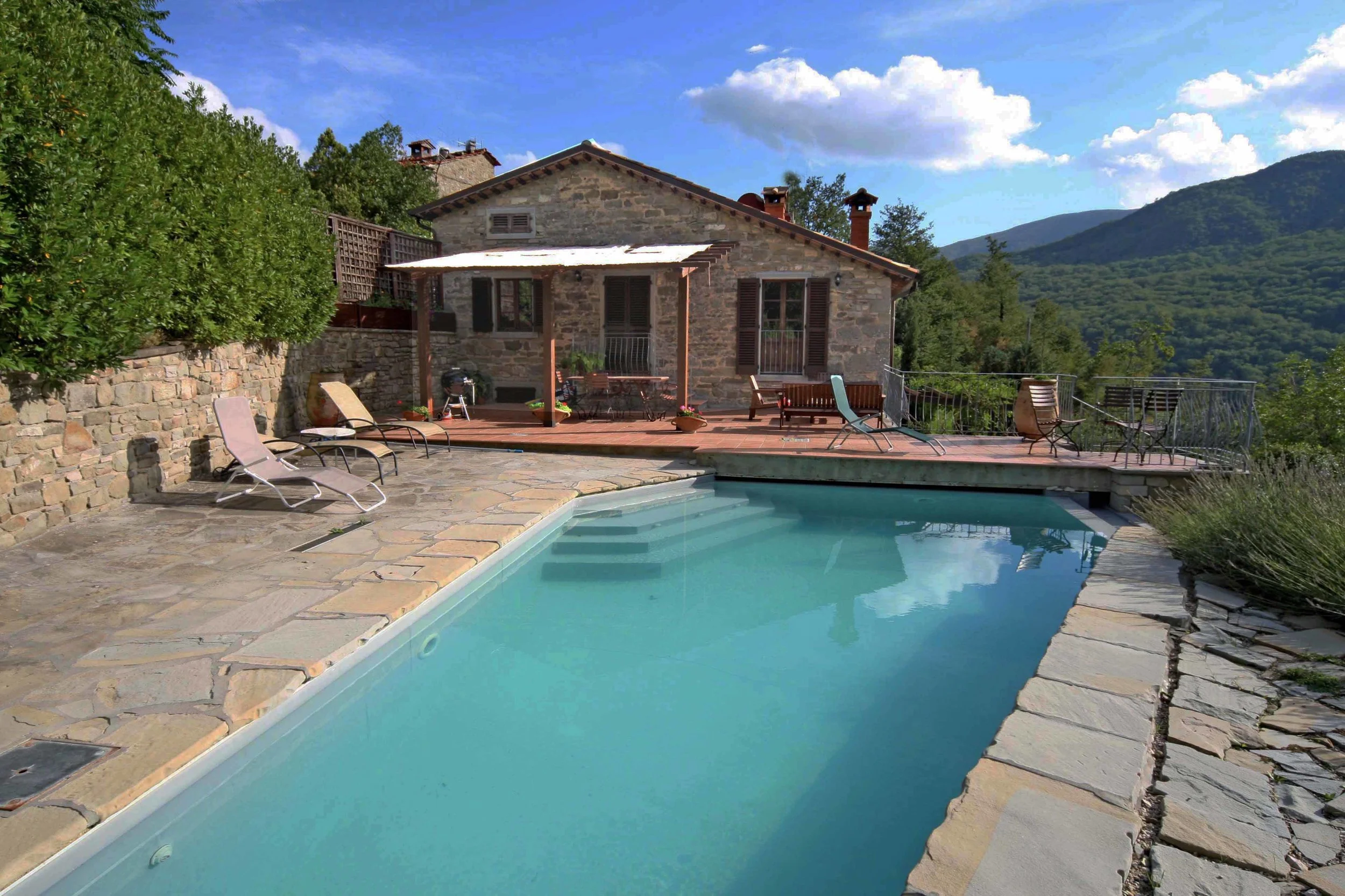 Fabulous views of the forests, from the swimming pool