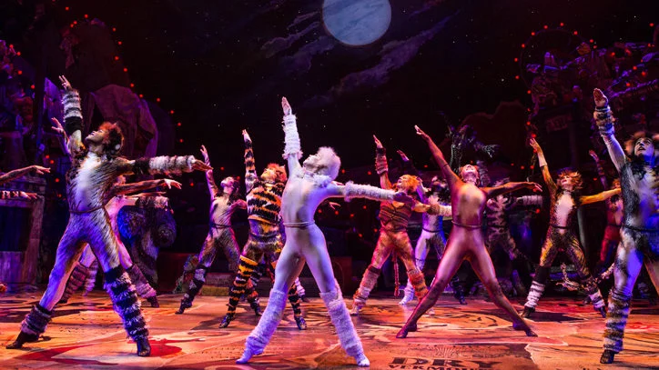 Cats-Durham-DPAC.jpg