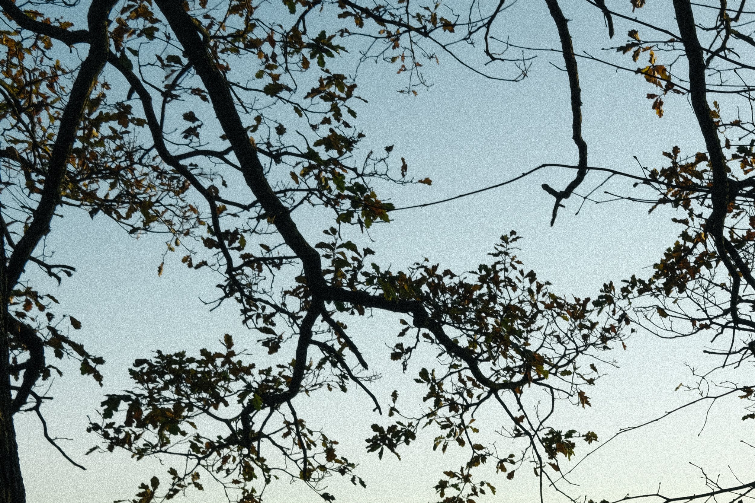 DSCF2357.jpg