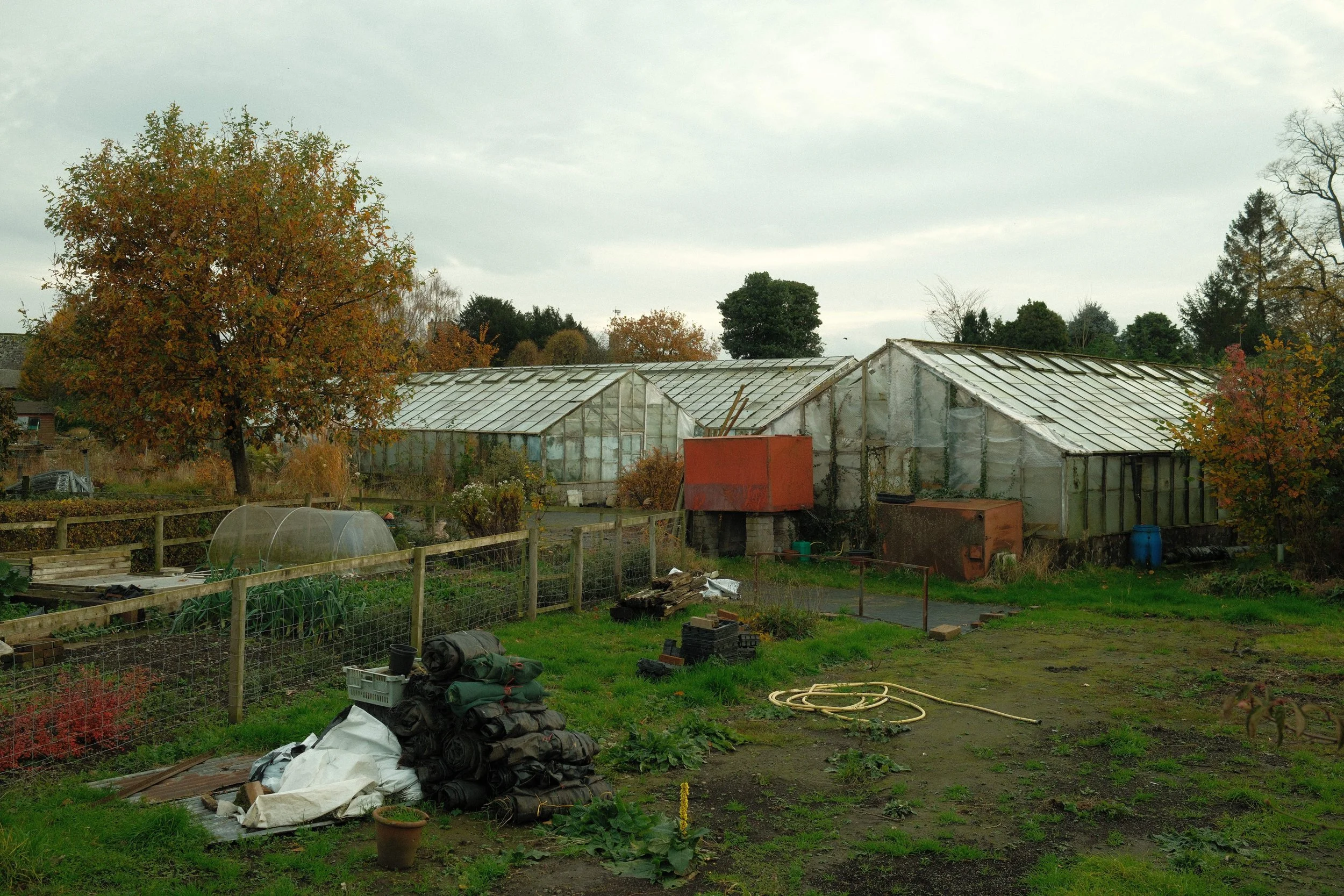 Dalston Garden House Nursery 1.jpg