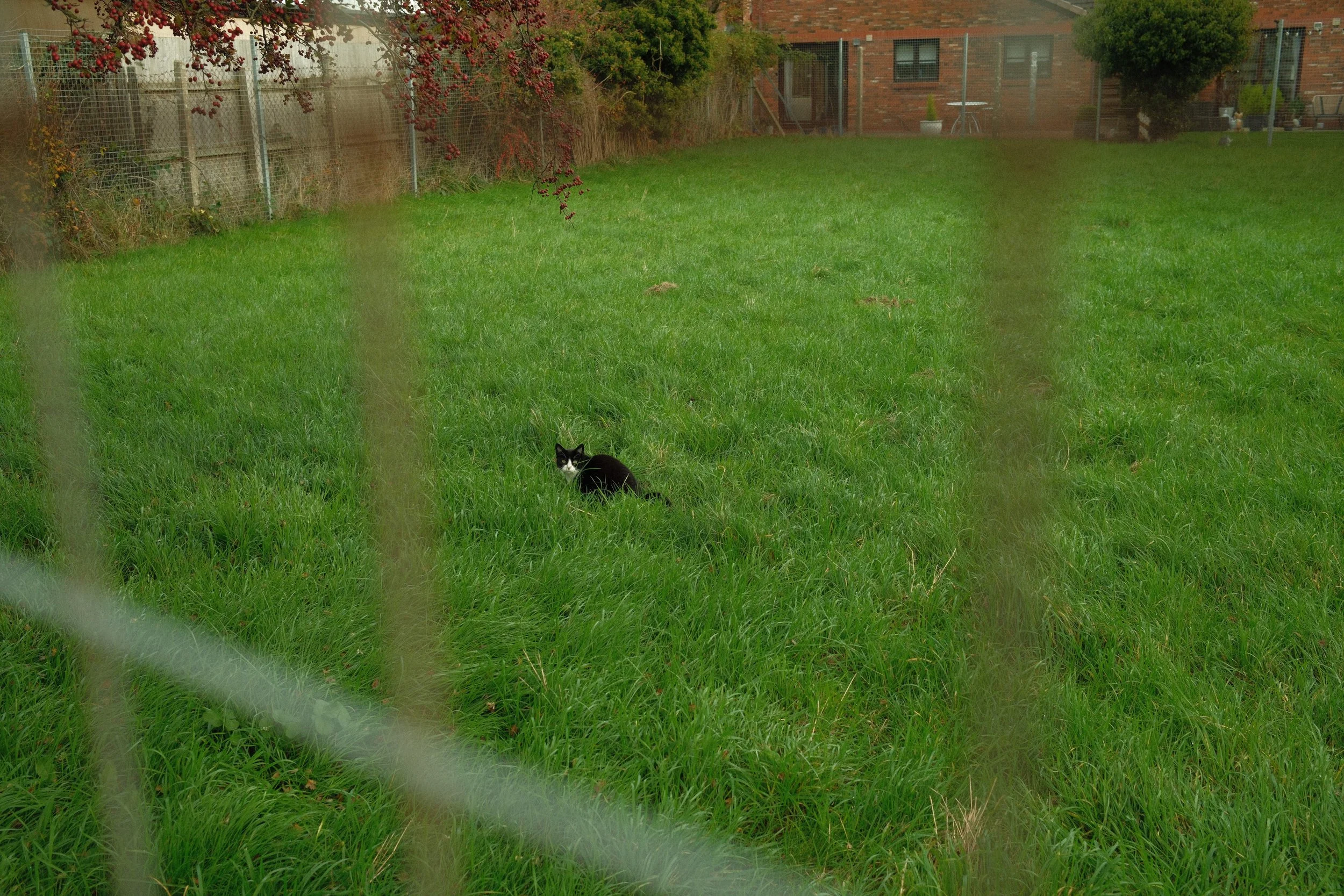 Dalston Telephone Exchange Cat 1.jpg