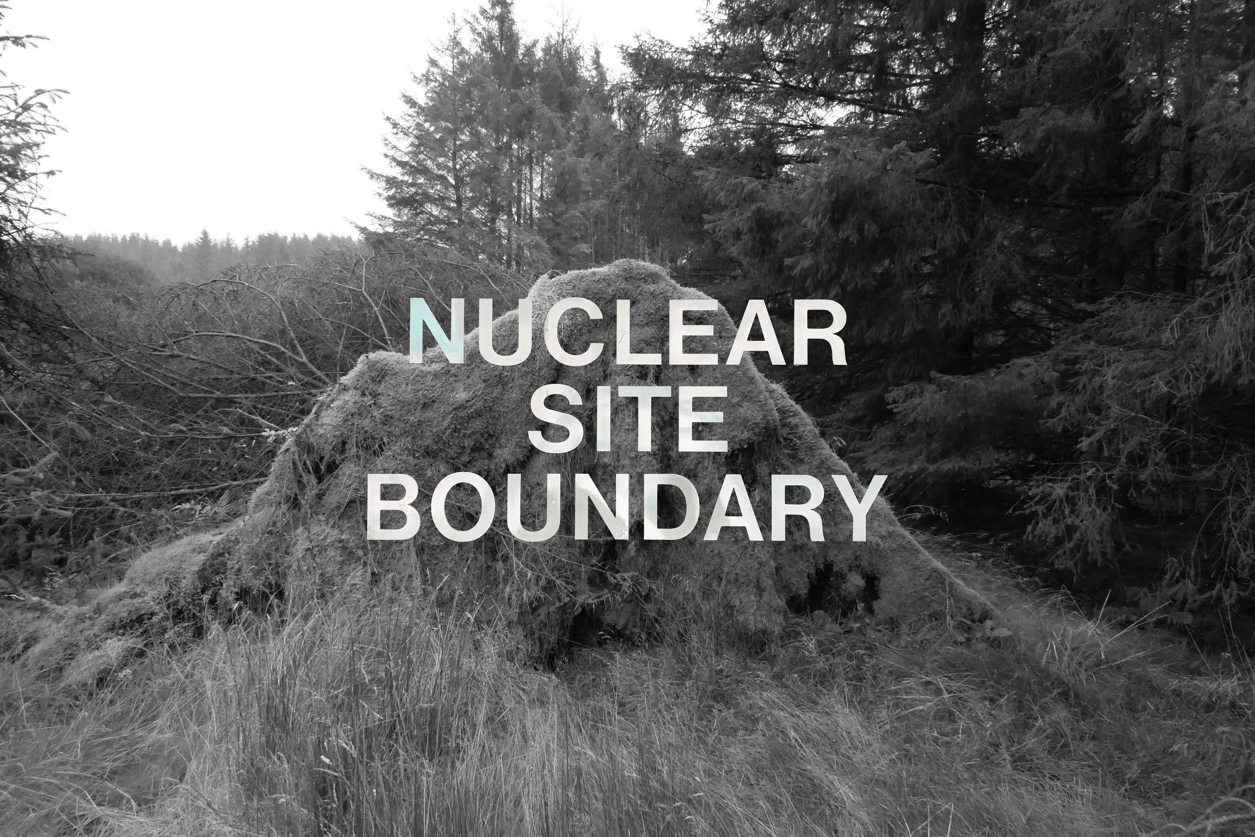 nature behind nuclear site boundry_.jpg