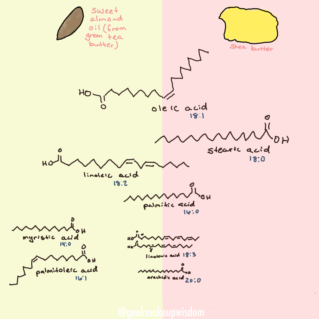 Shea Butter vs Green Tea Butter — geek + makeup + wisdom
