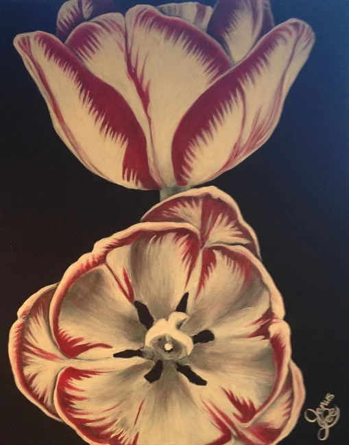 Tulips.jpg