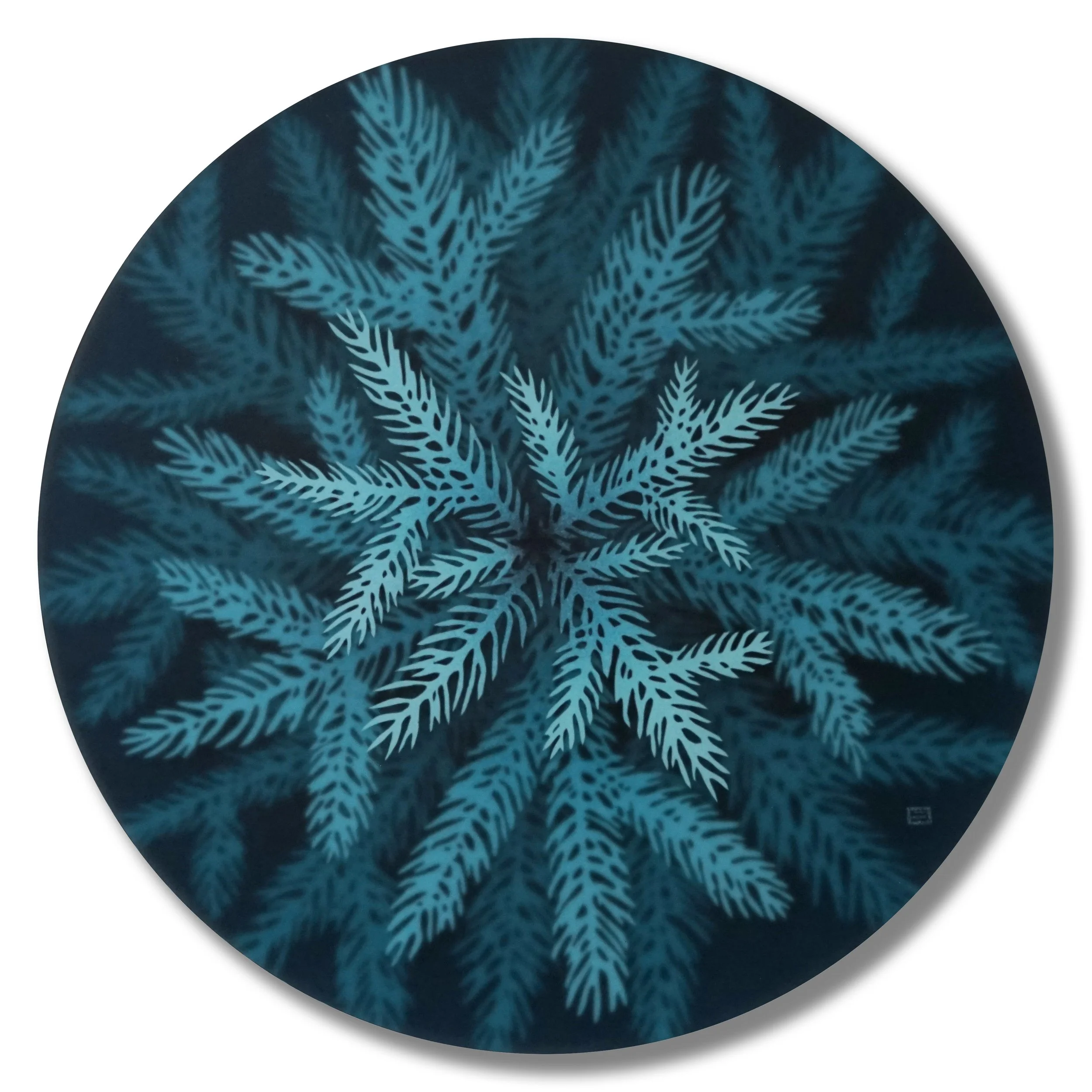 Blue Spruce