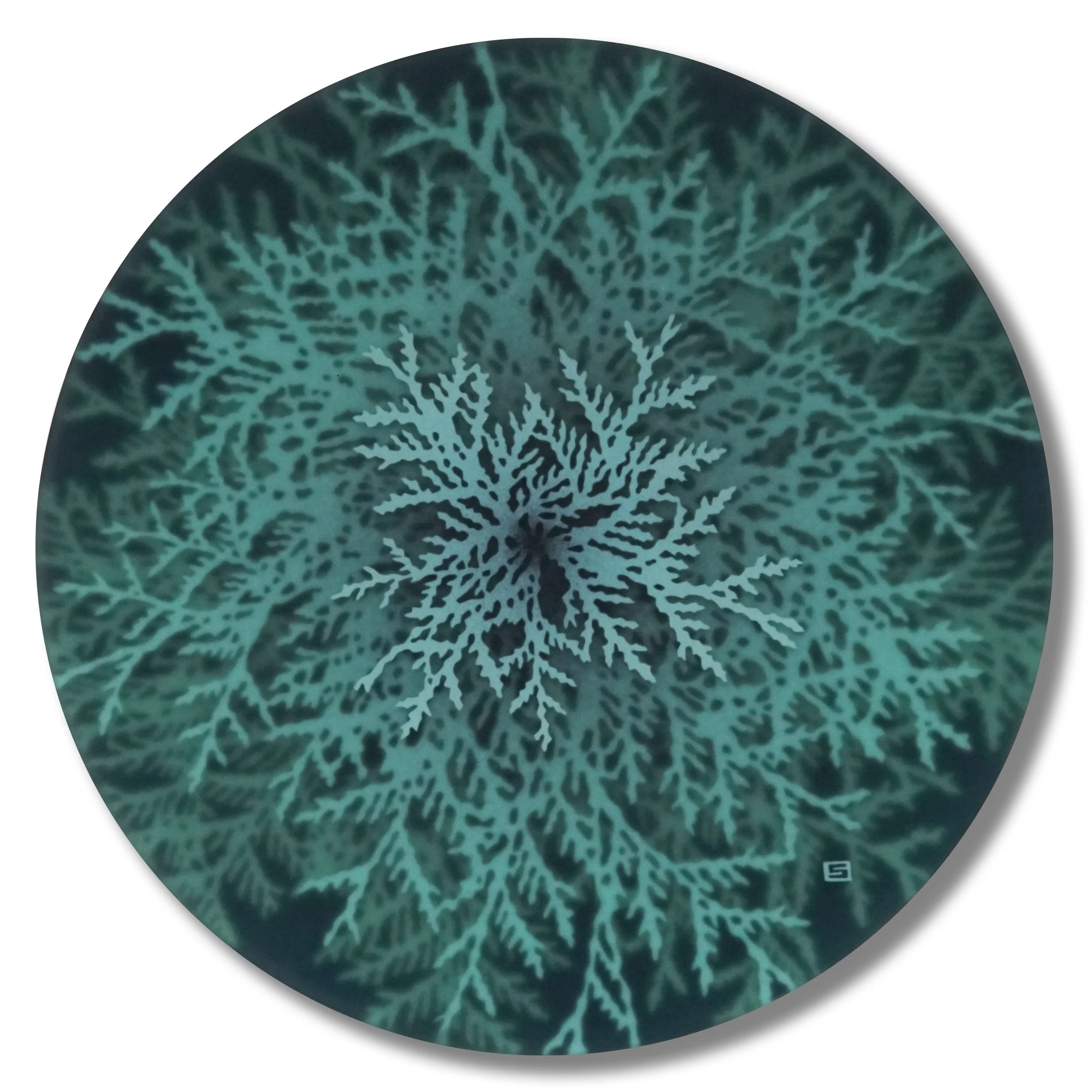 Winter Green