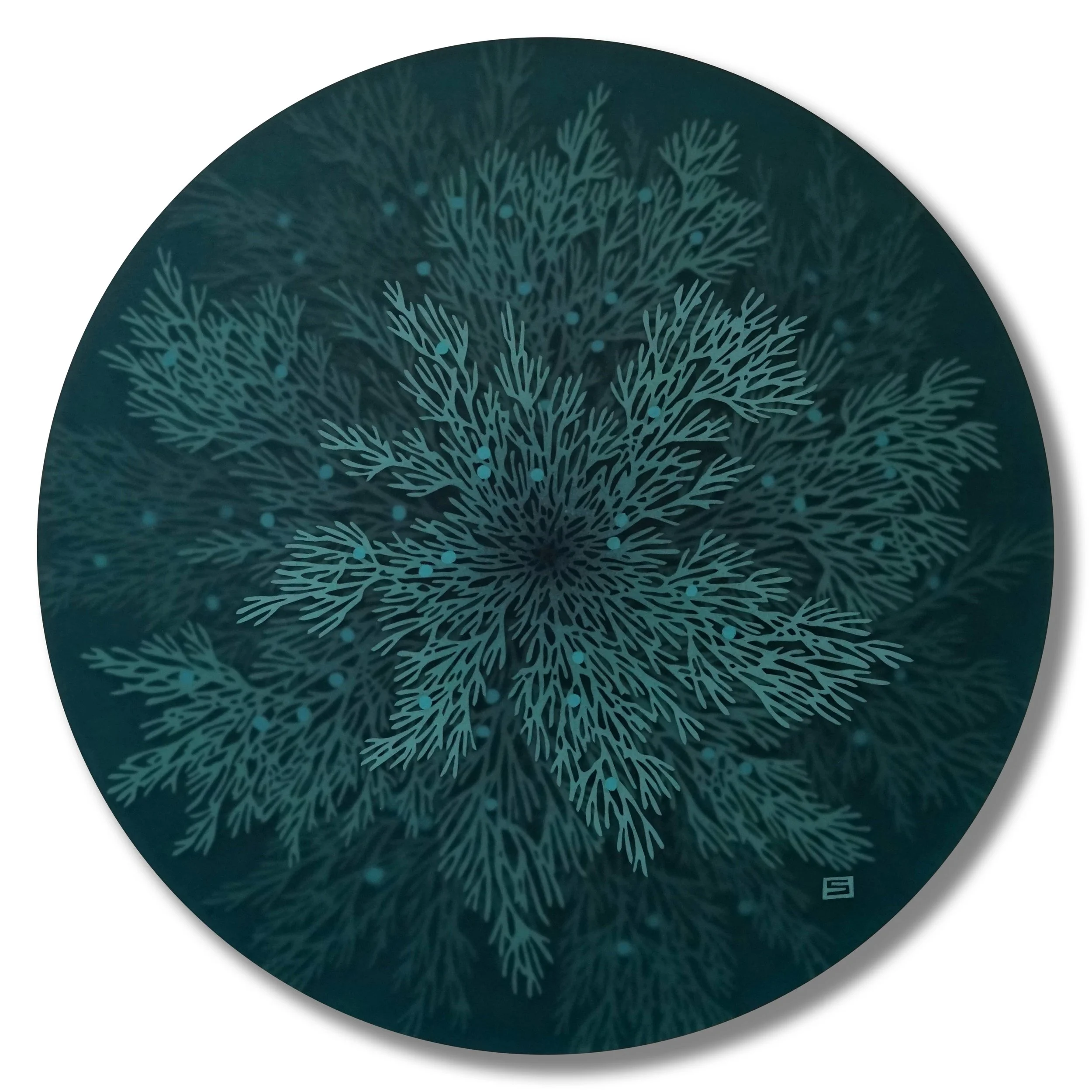Juniper