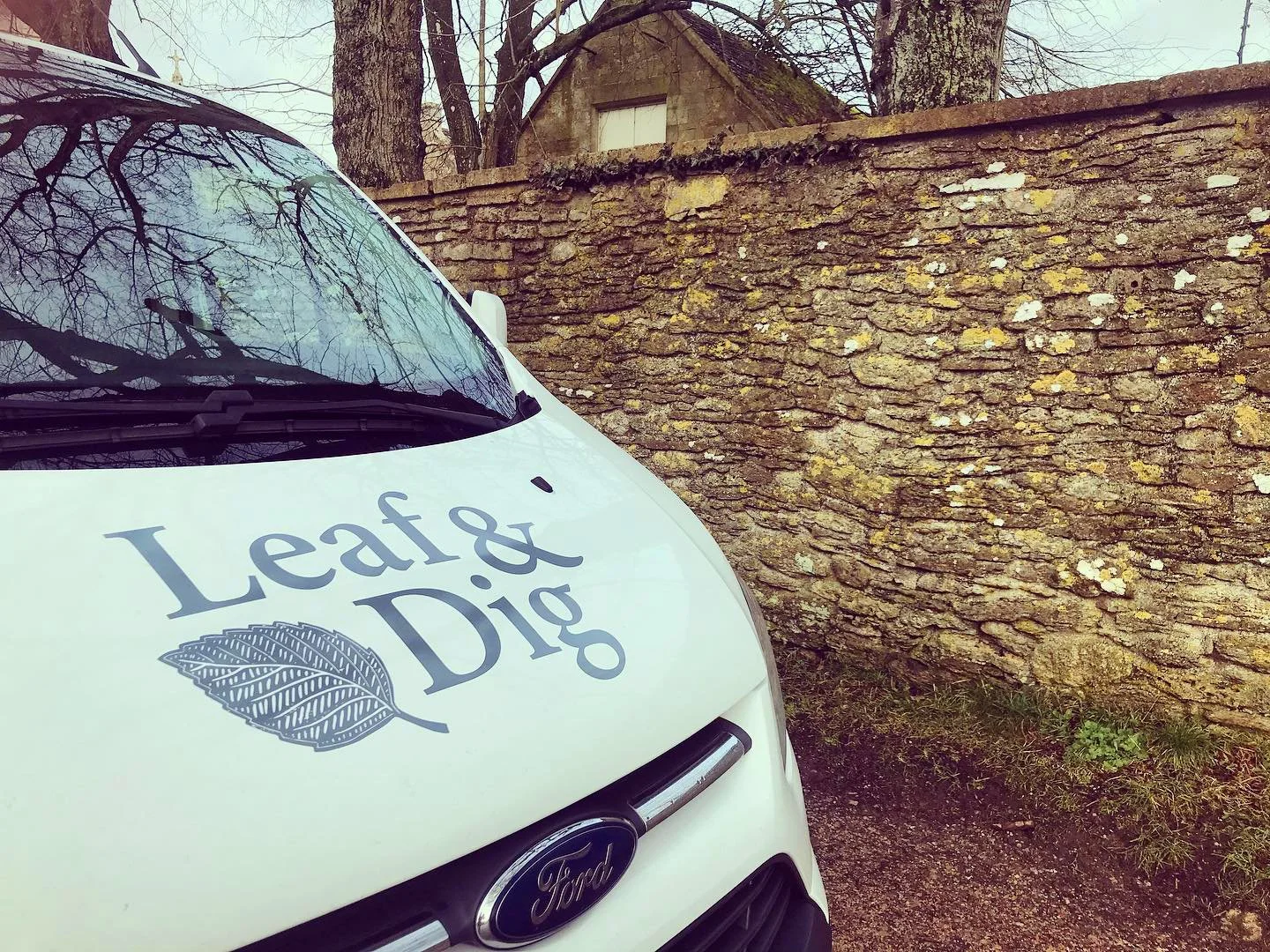 LeafandDig_Van_front.jpg