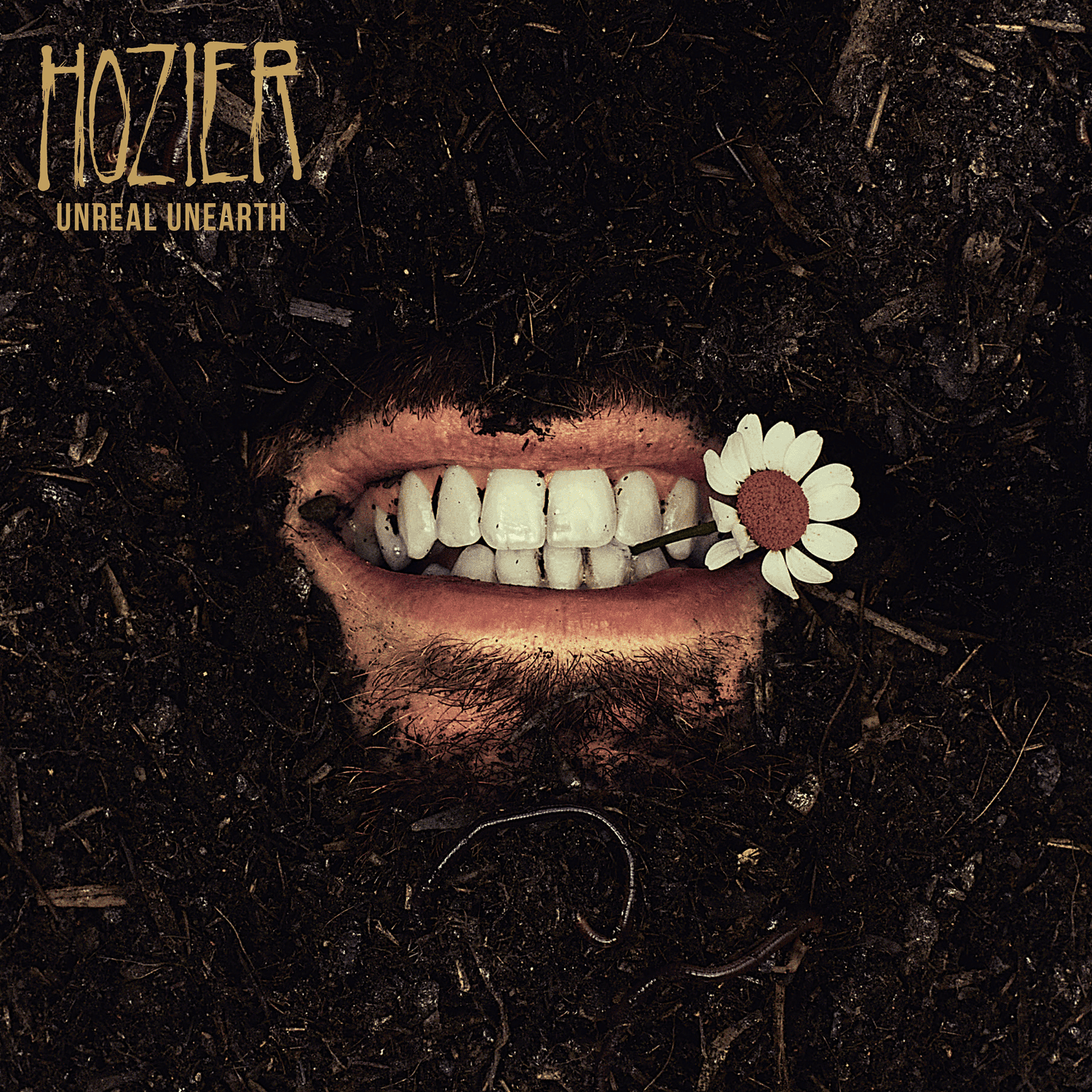 Hozier's long-awaited third album 'Unreal Unearth' is OUT NOW! — Rubyworks