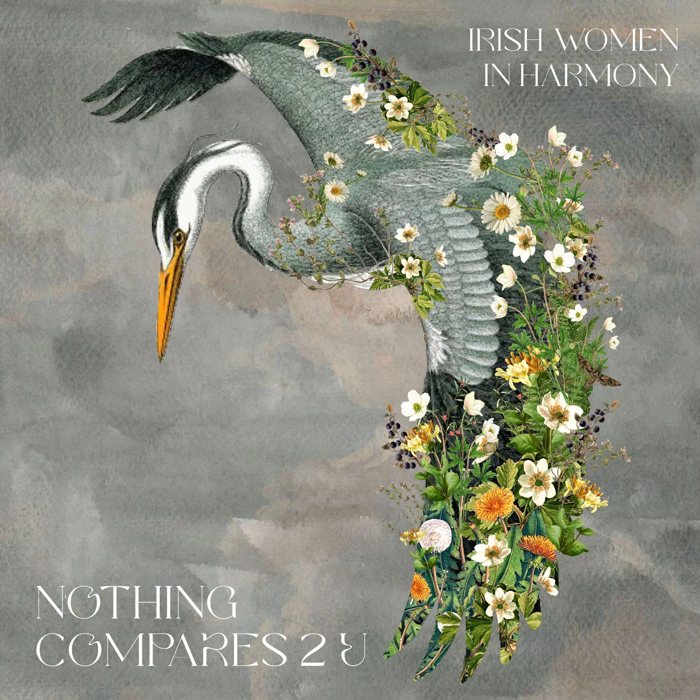 Irish Women in Harmony releases tribute single 'Nothing Compares 2 U' in aid of the Aisling project