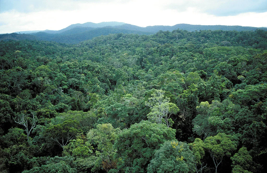 Source: Wikimedia Commons