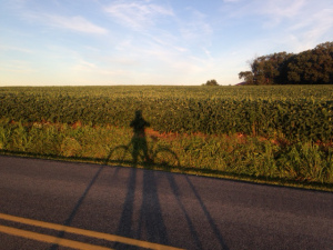 Just after sunrise.
