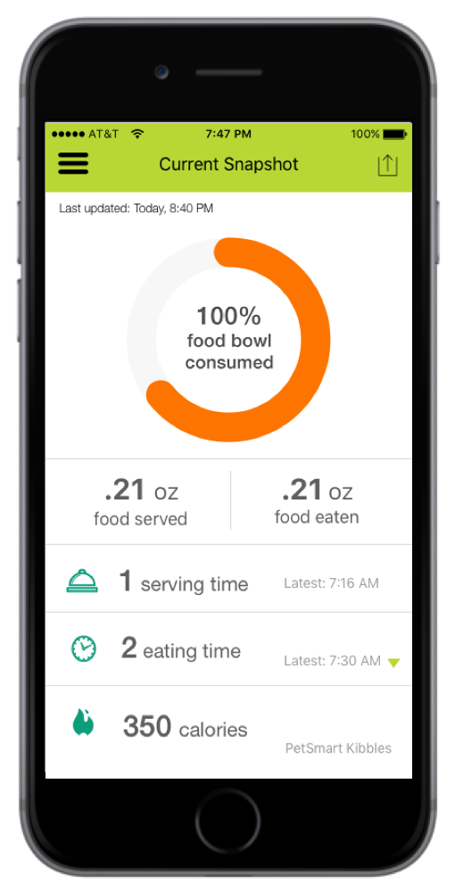 BuddyBowl: Track your dog's eating habits