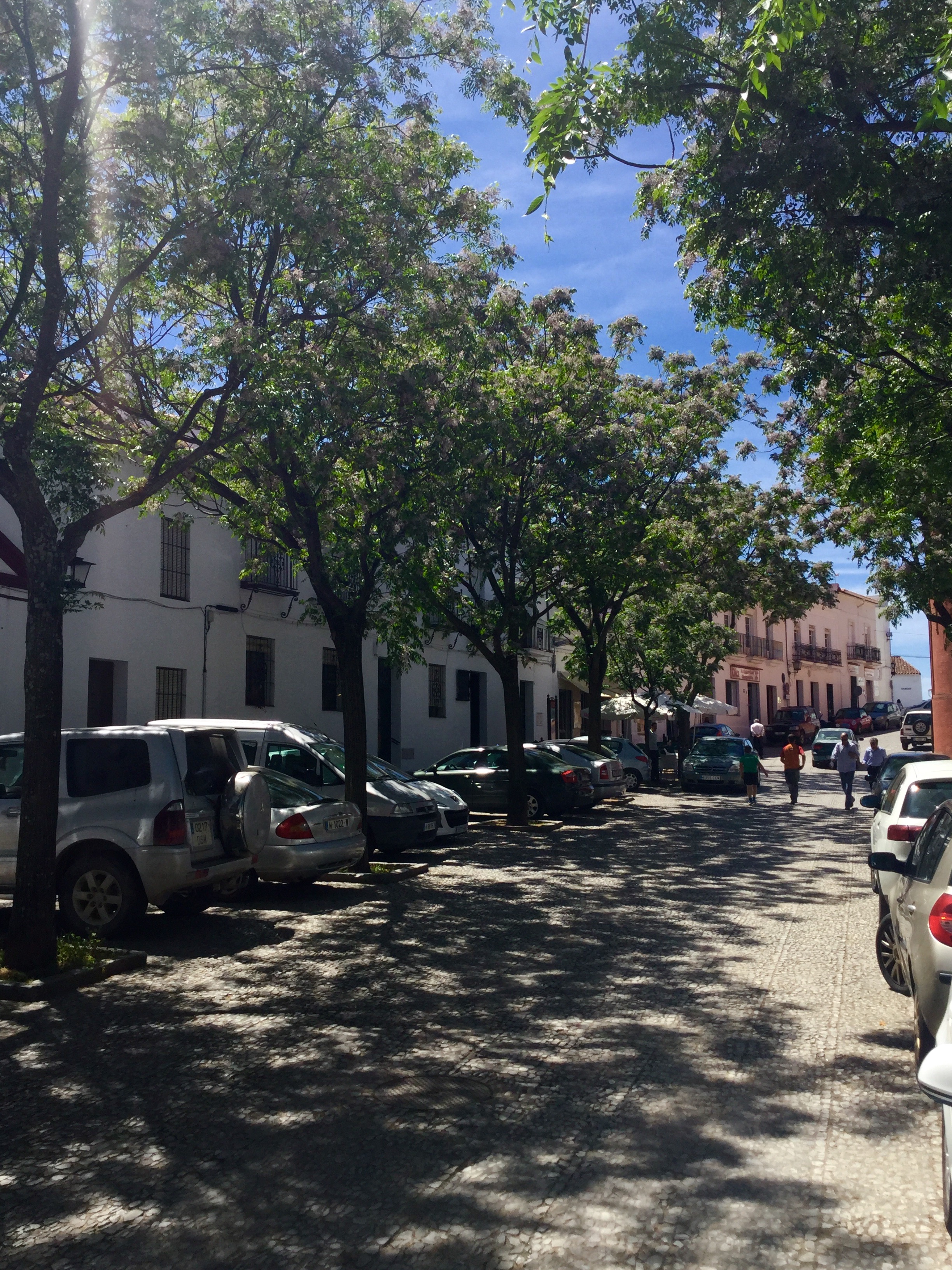 Aracena centre, near Buenvino self-catering cottages near Seville