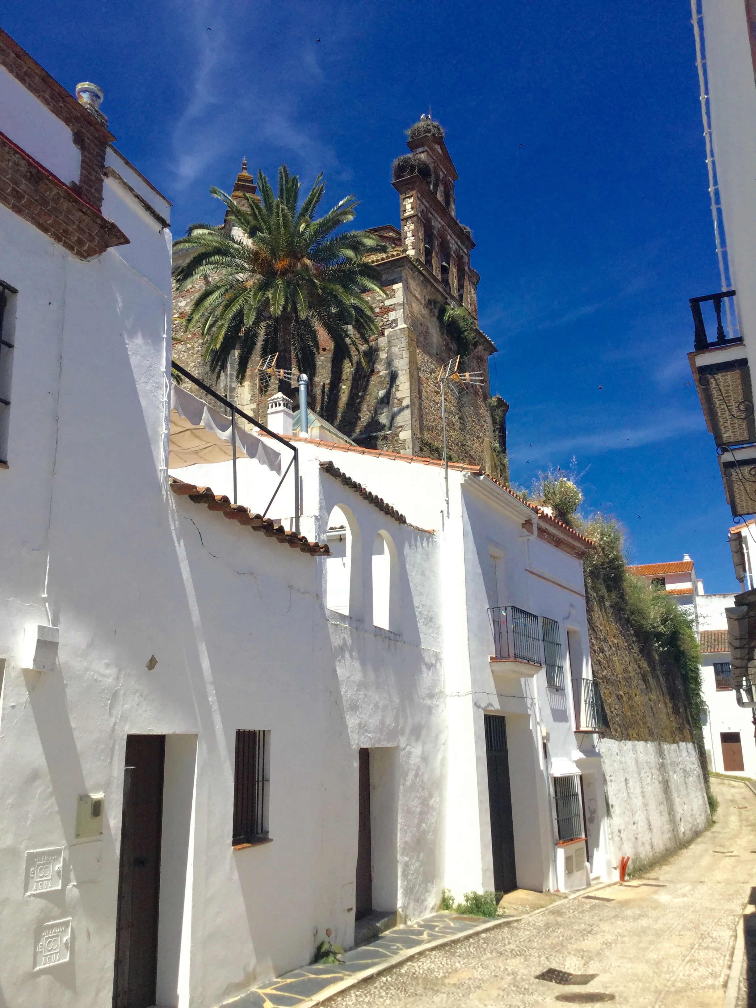 Aracena Aracena National Park Picos de Aroche near Seville