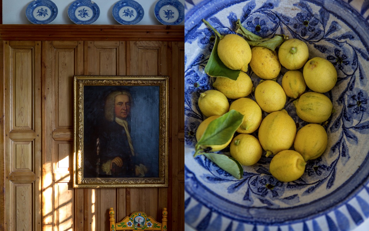 Fresh produce, B&B and holiday rental near Seville