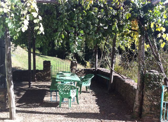 Rose and vine covered terrace.